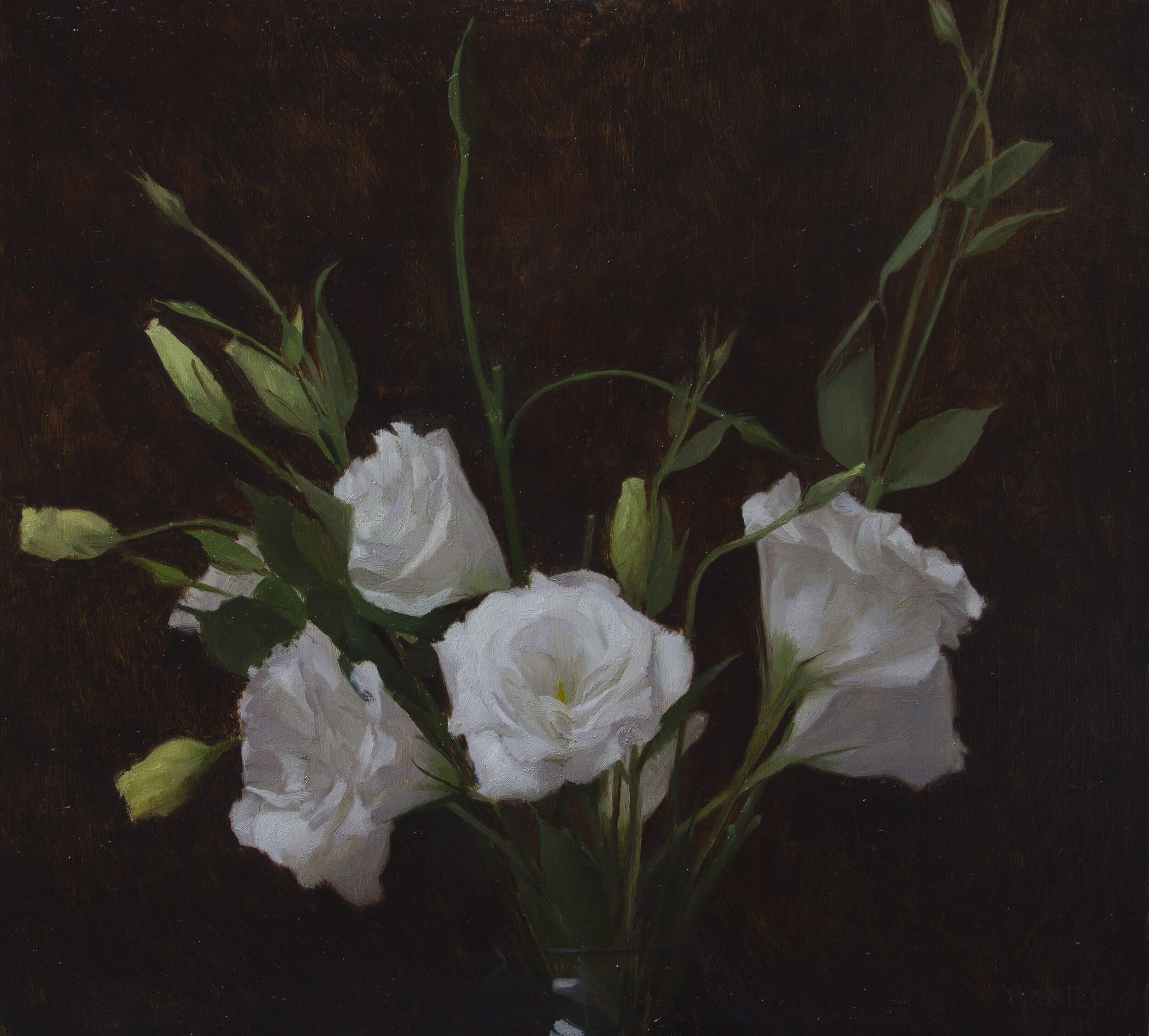 Lisianthus. 12x14. Oil on Panel