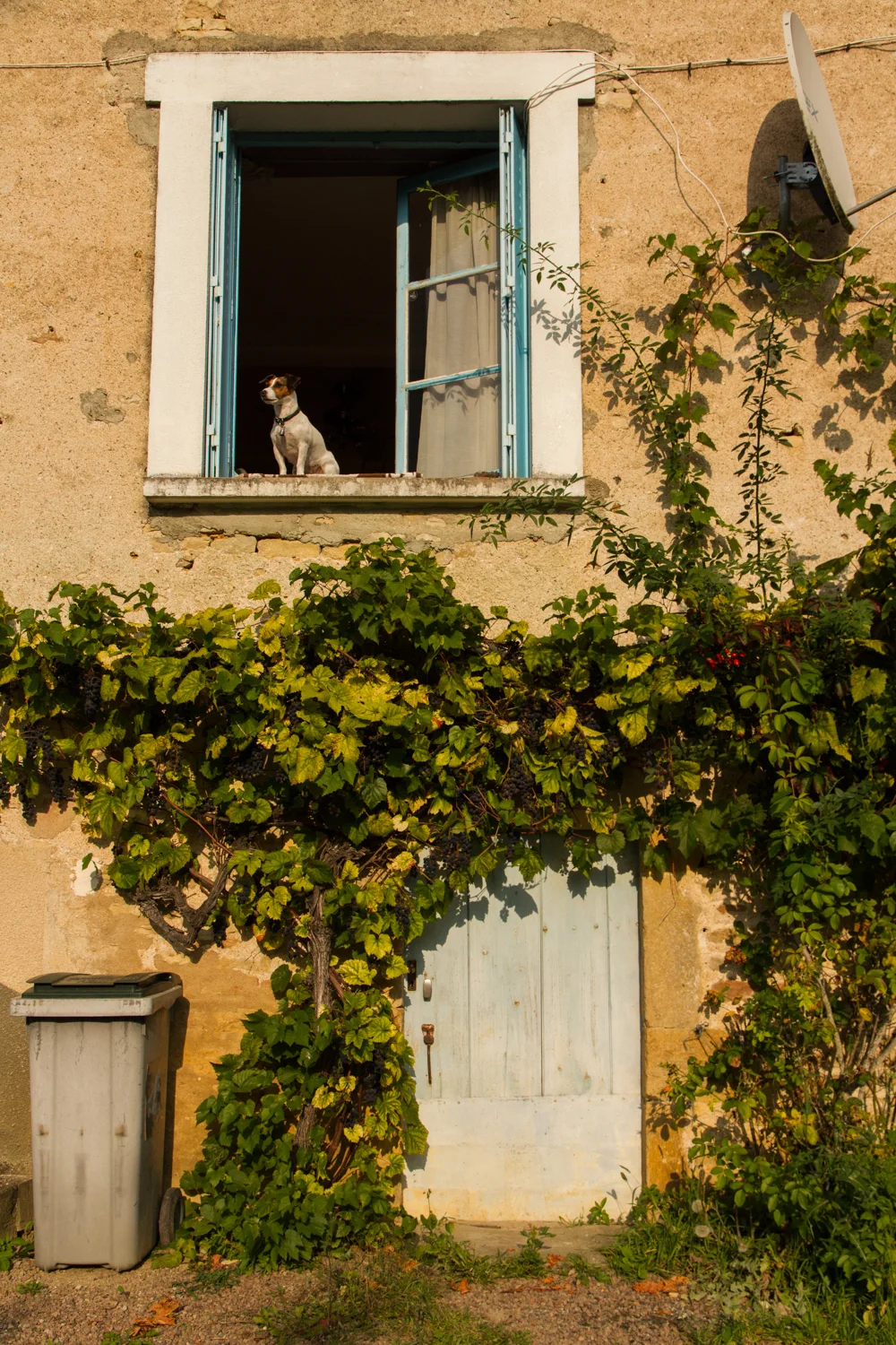 Saint-Père, Bourgogne