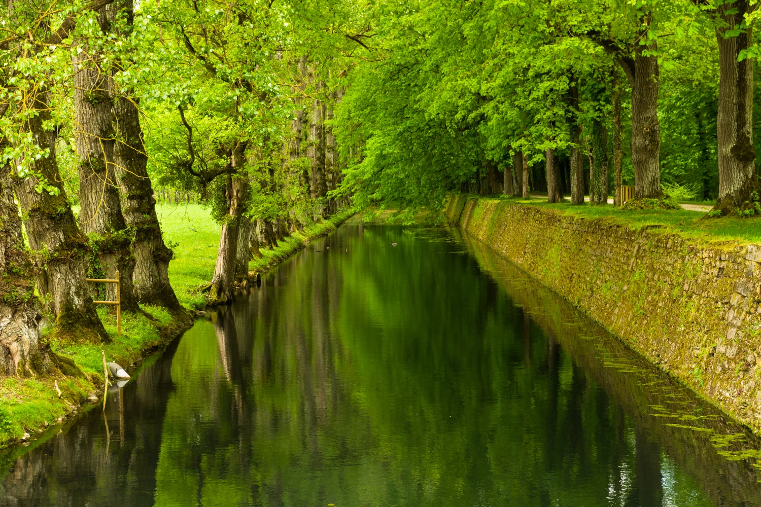 Chenonceau, Loire Valley
