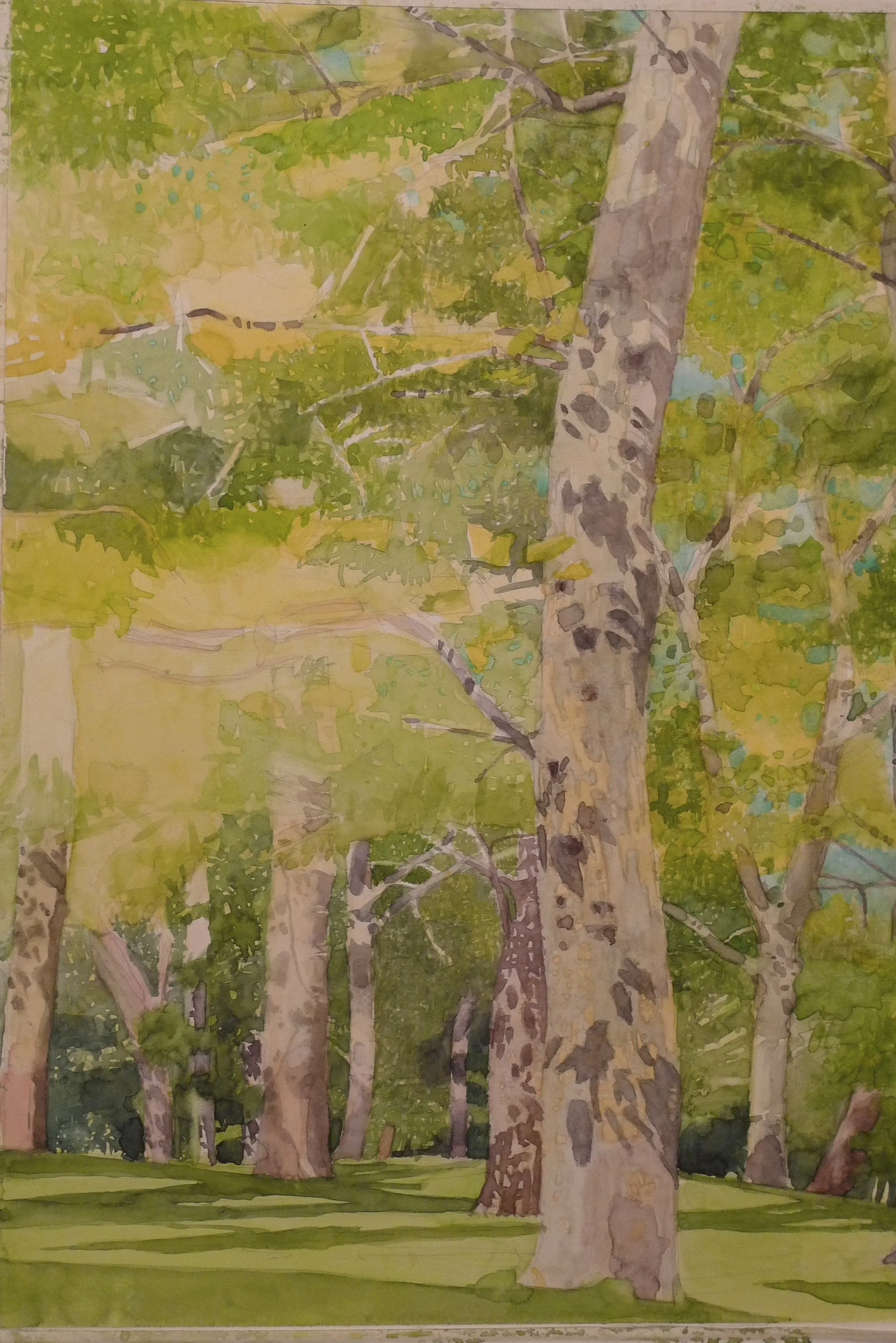 Watercolor on paper 14 x 17 inches Tarek Ashkar, 2011