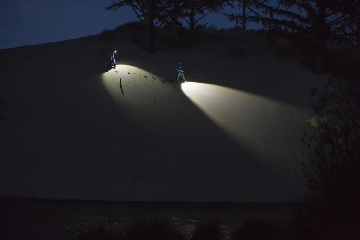 coast-headlamp-outdoor1-web.jpg