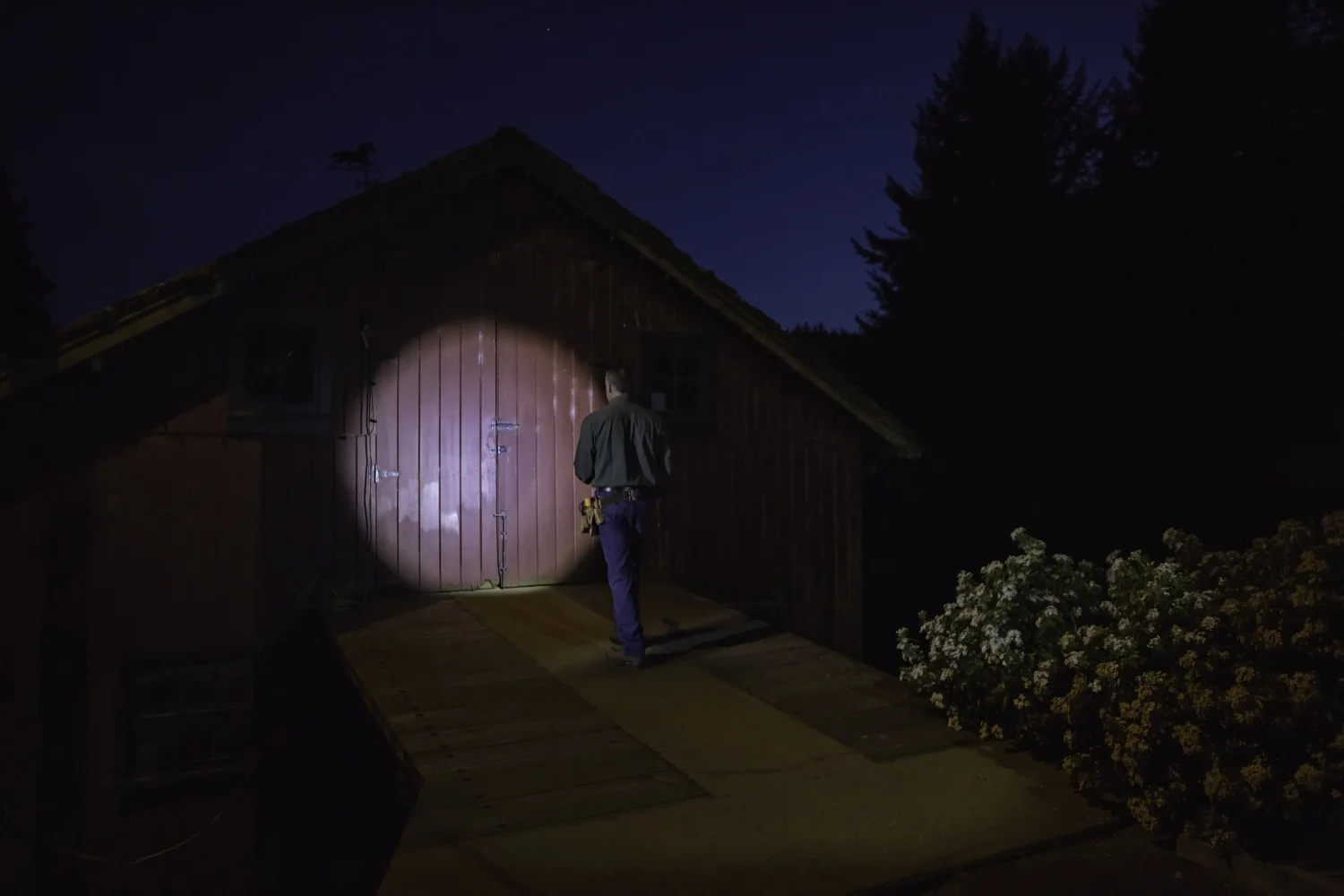 coast-light-up-shed-web.jpg