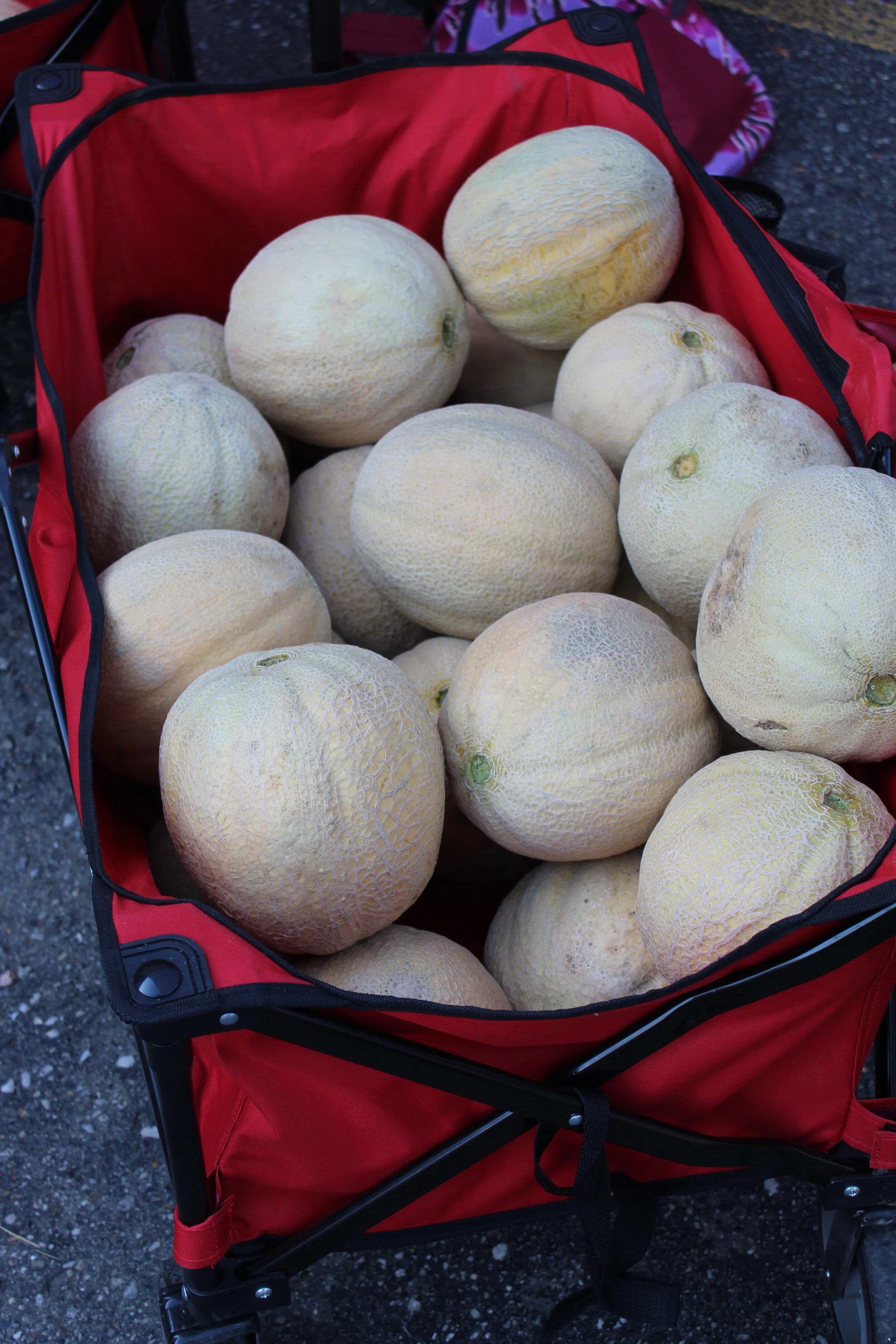 Howell Melons — Howell Melon Festival