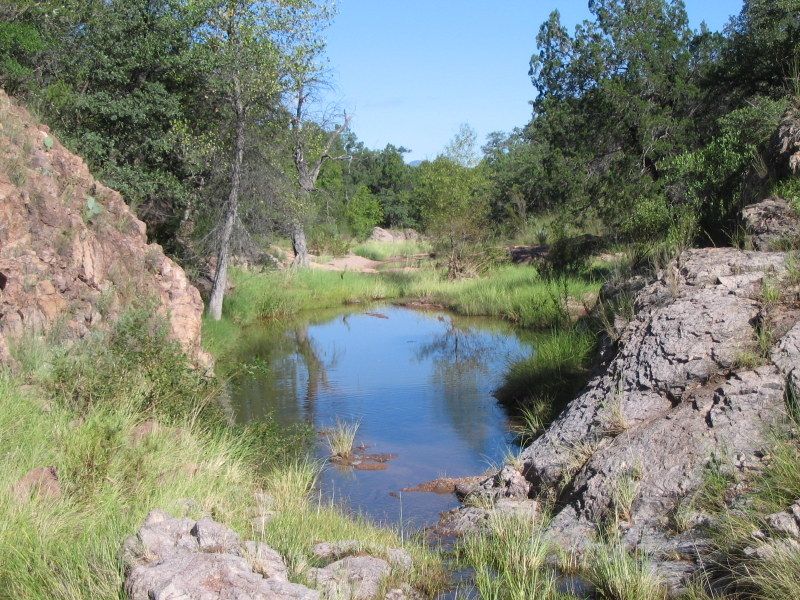Alamo Springs - C6 Ranch