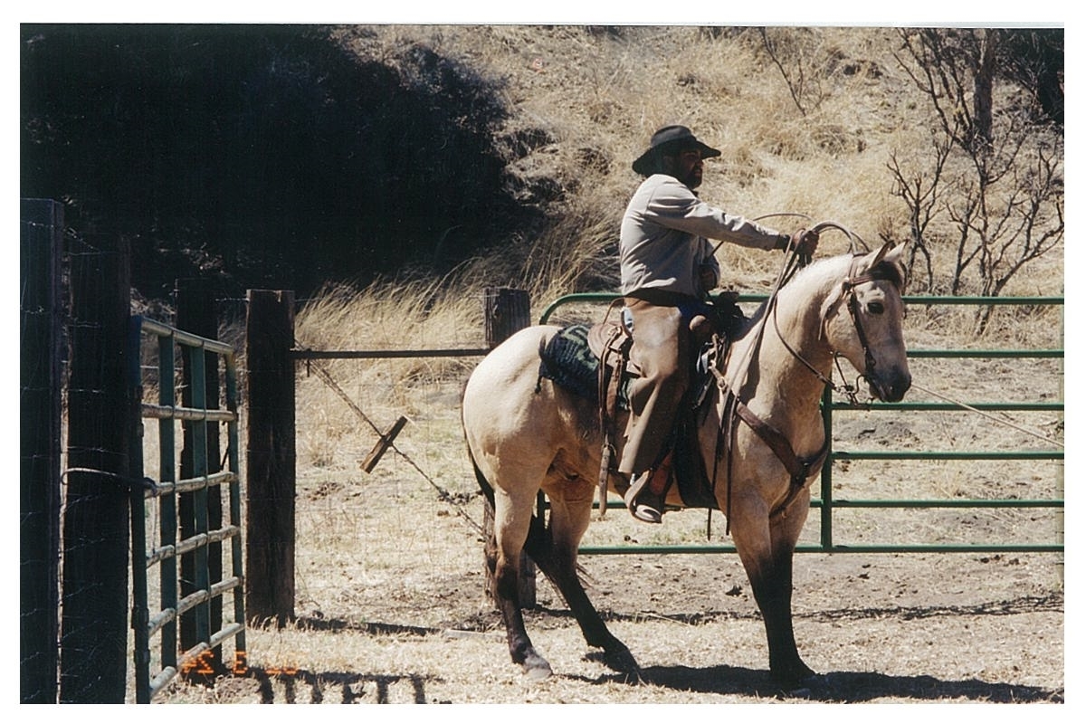 Stomytiptop holding a calf - C6 Ranch