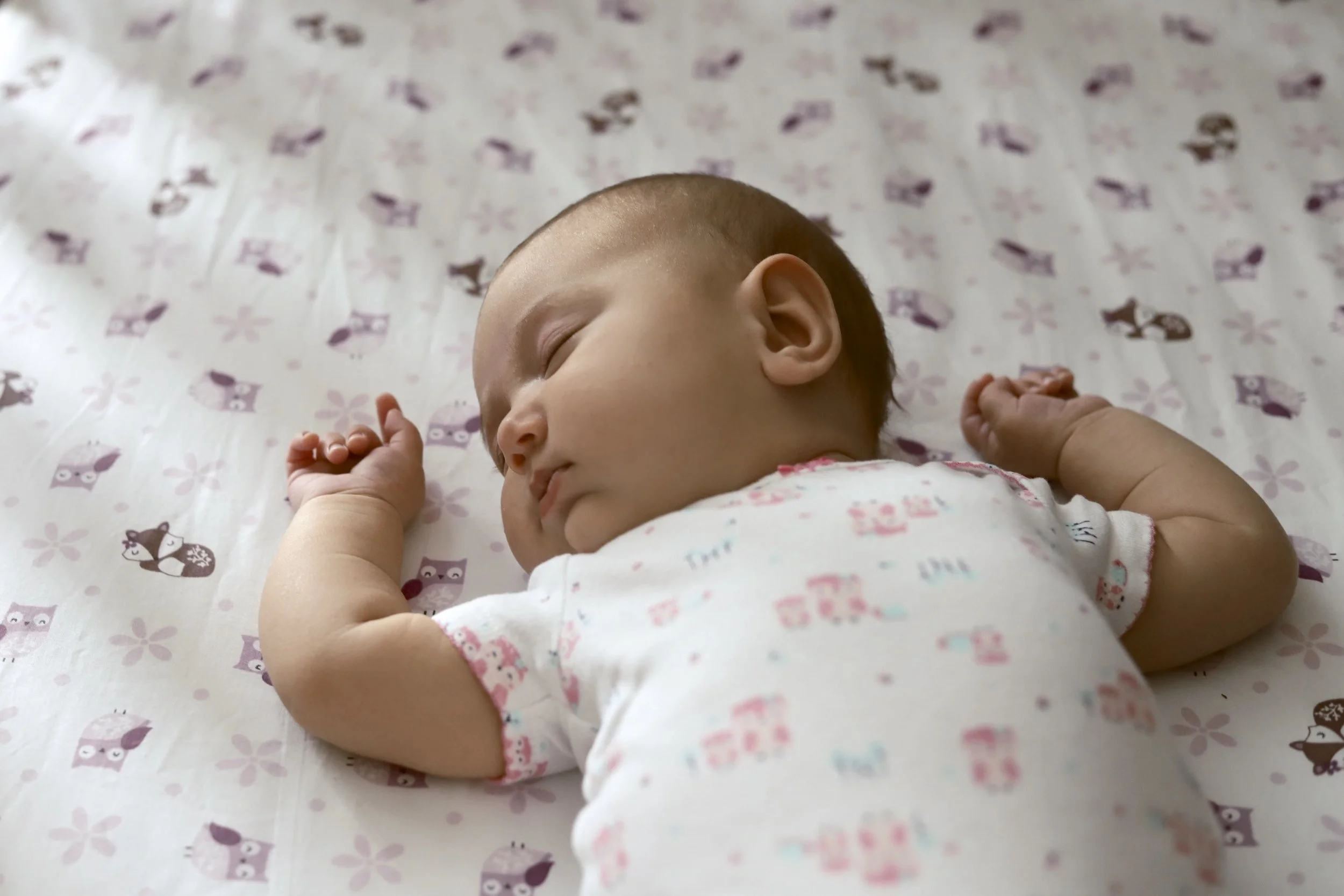 IMG_1524 - Version 2.jpg