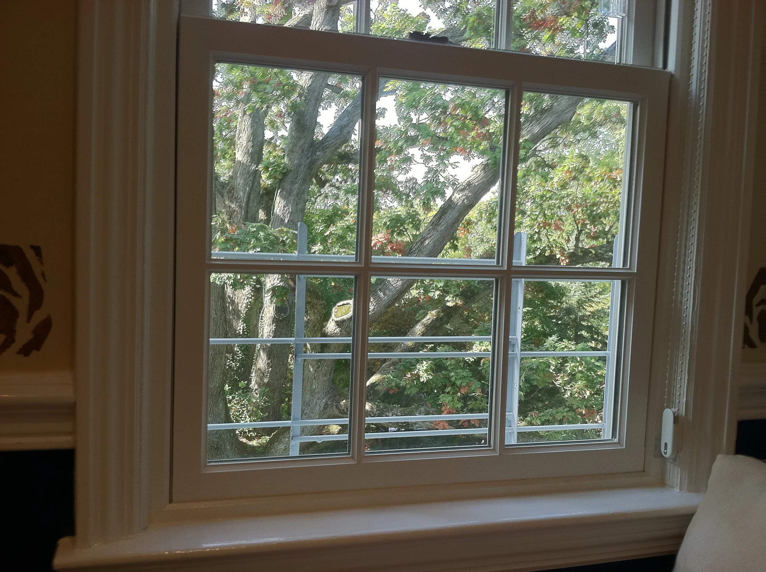 NTPC a really lot higher from NPCIL also witnesses themselves since to