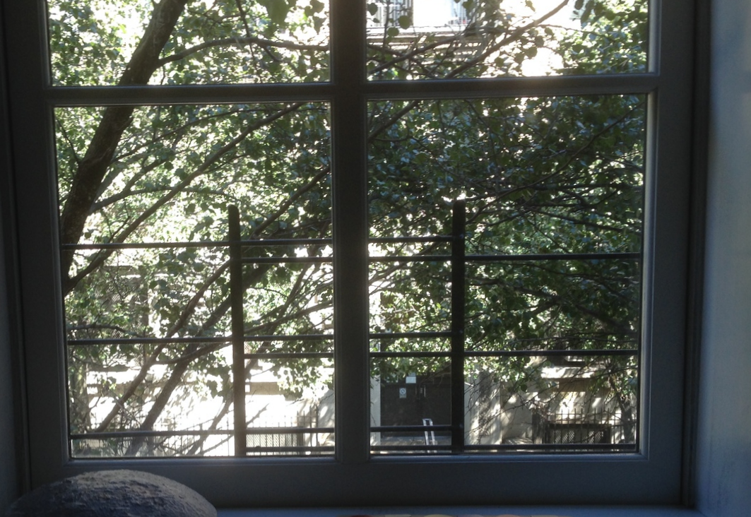 child proof window guards