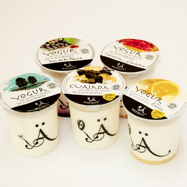 VARIEDAD DE YOGURES