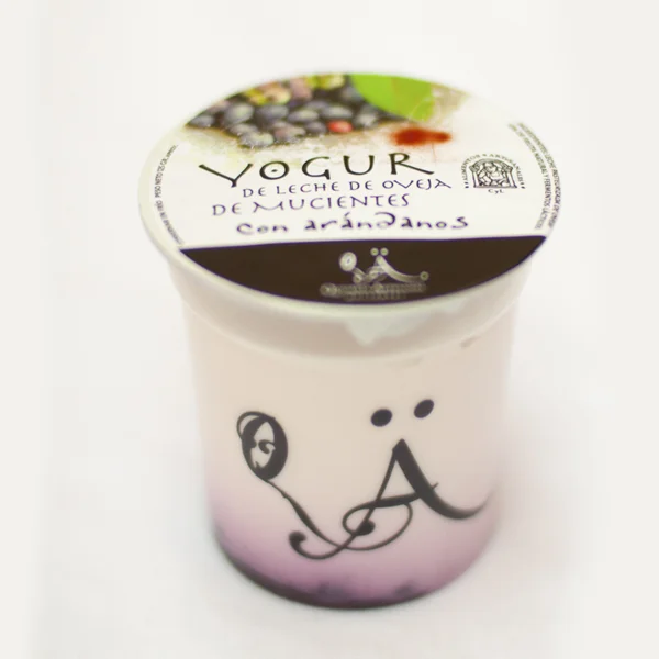 YOGUR CON ARÁNDANOS