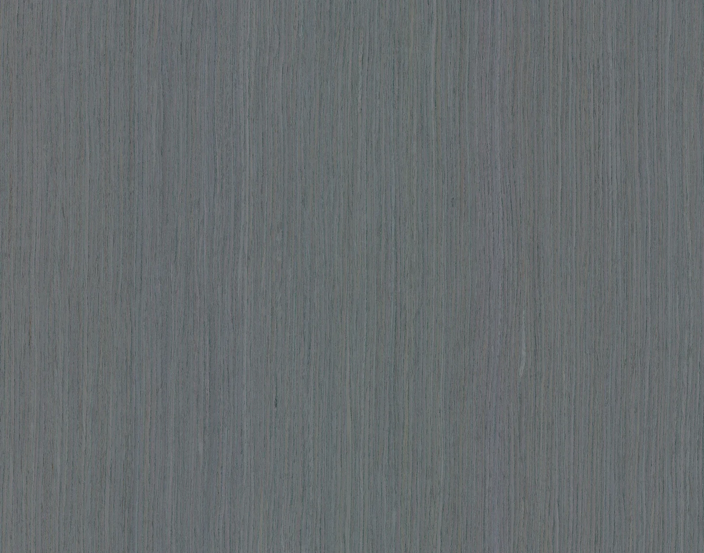 10.65 macro 2.jpg
