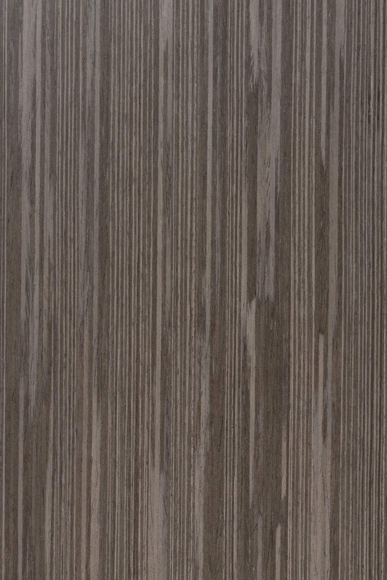 11.11 macro.jpg