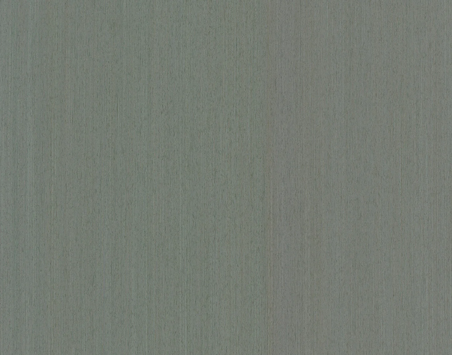 11.02 macro 2.jpg