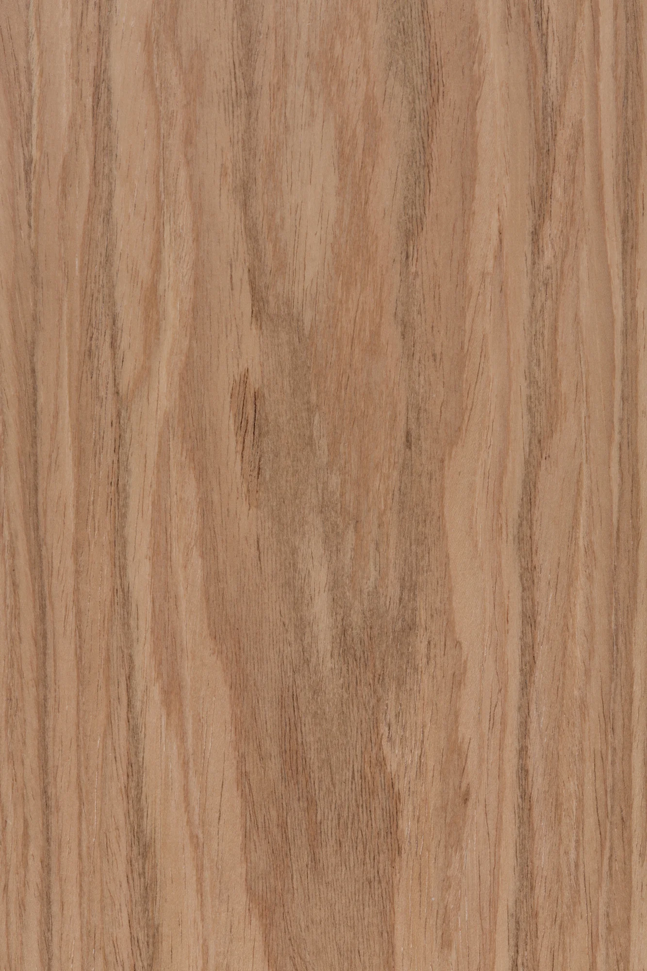 Oreh European Tangent (TBF 2C 91-00-DZ 2 30) macro.jpg