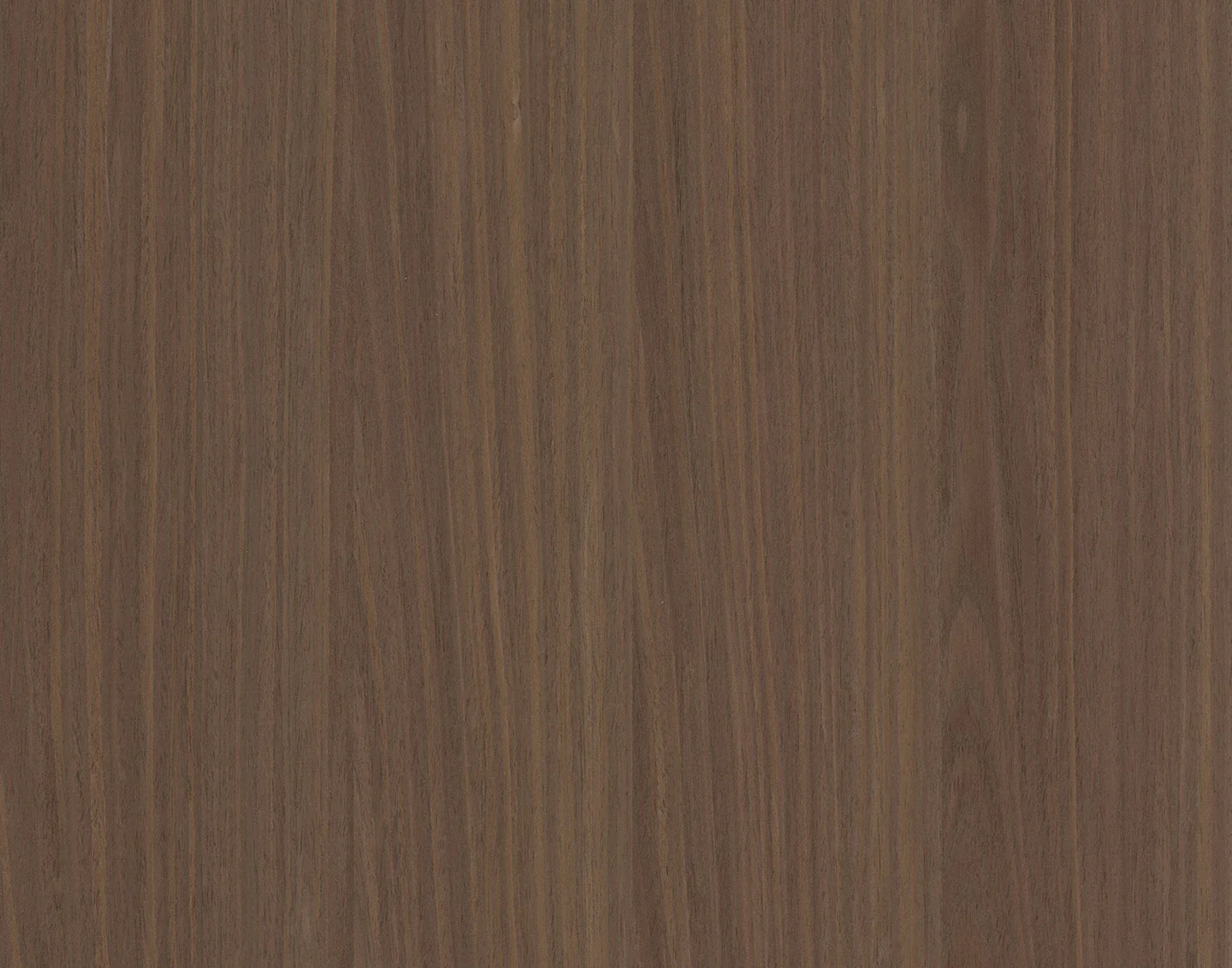 10.17 noce dogato ma-5ca4bb83d3a0d.jpg