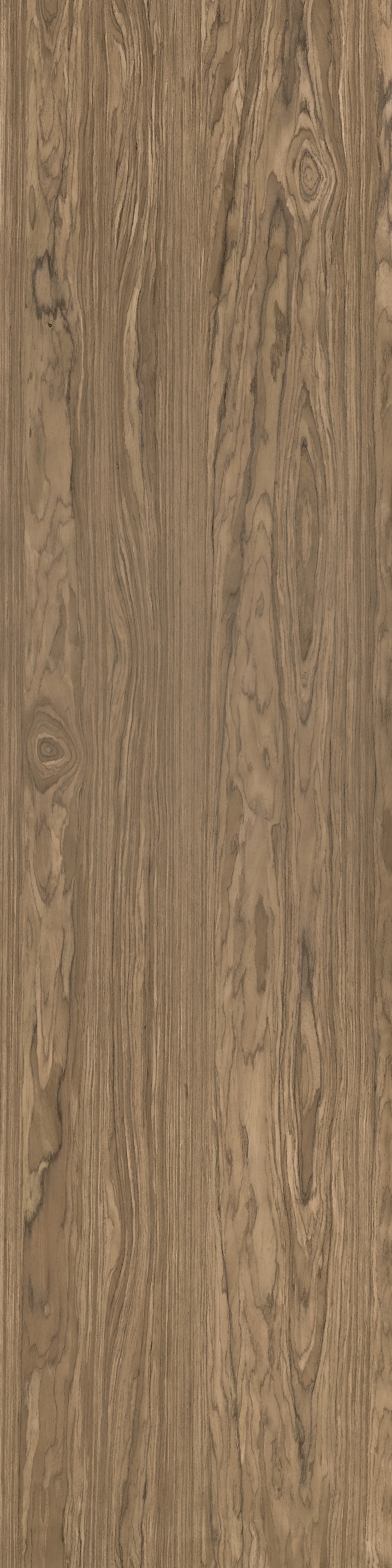 Noble Walnut.jpg