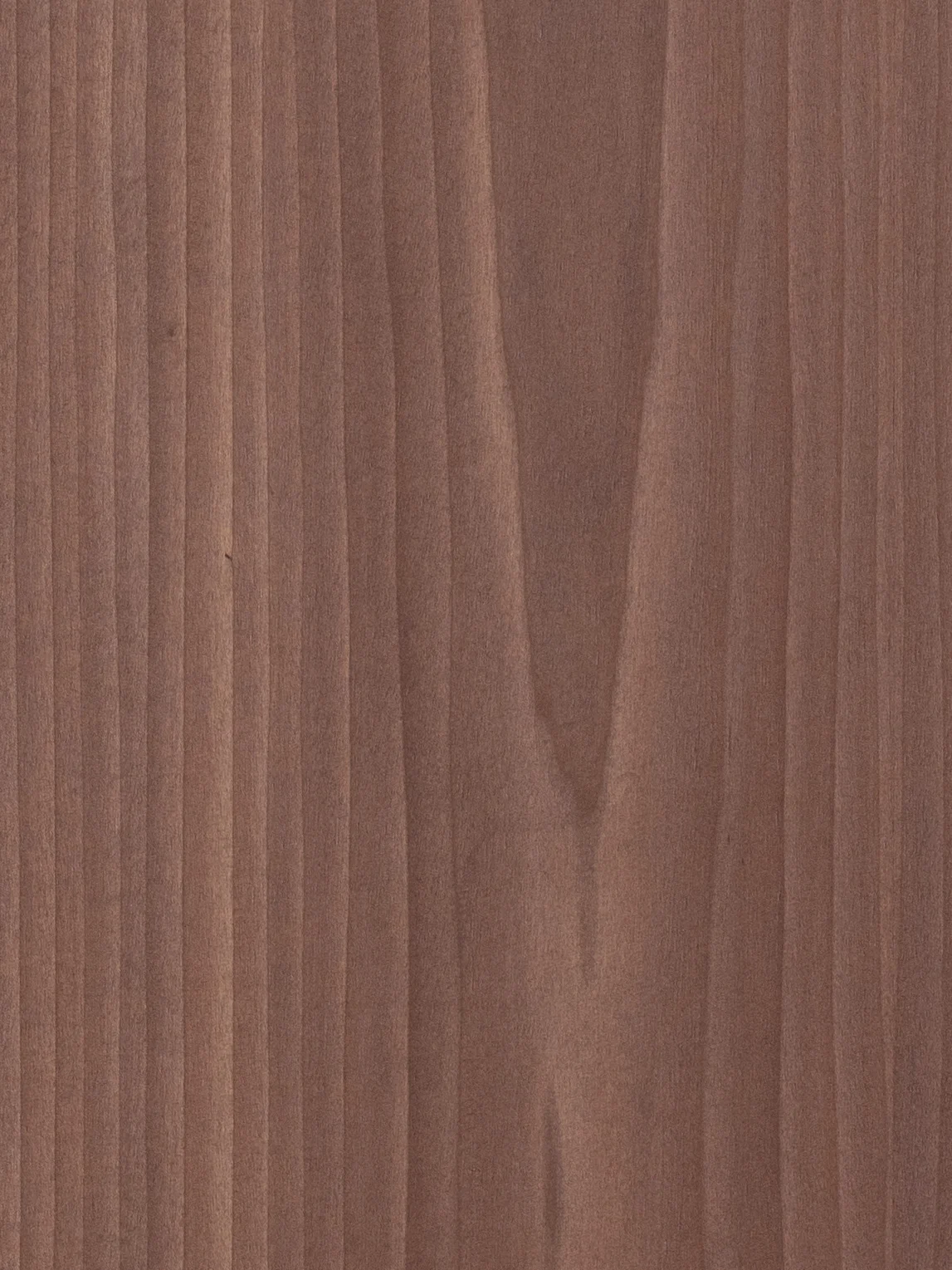Tulipwood 1067.jpg