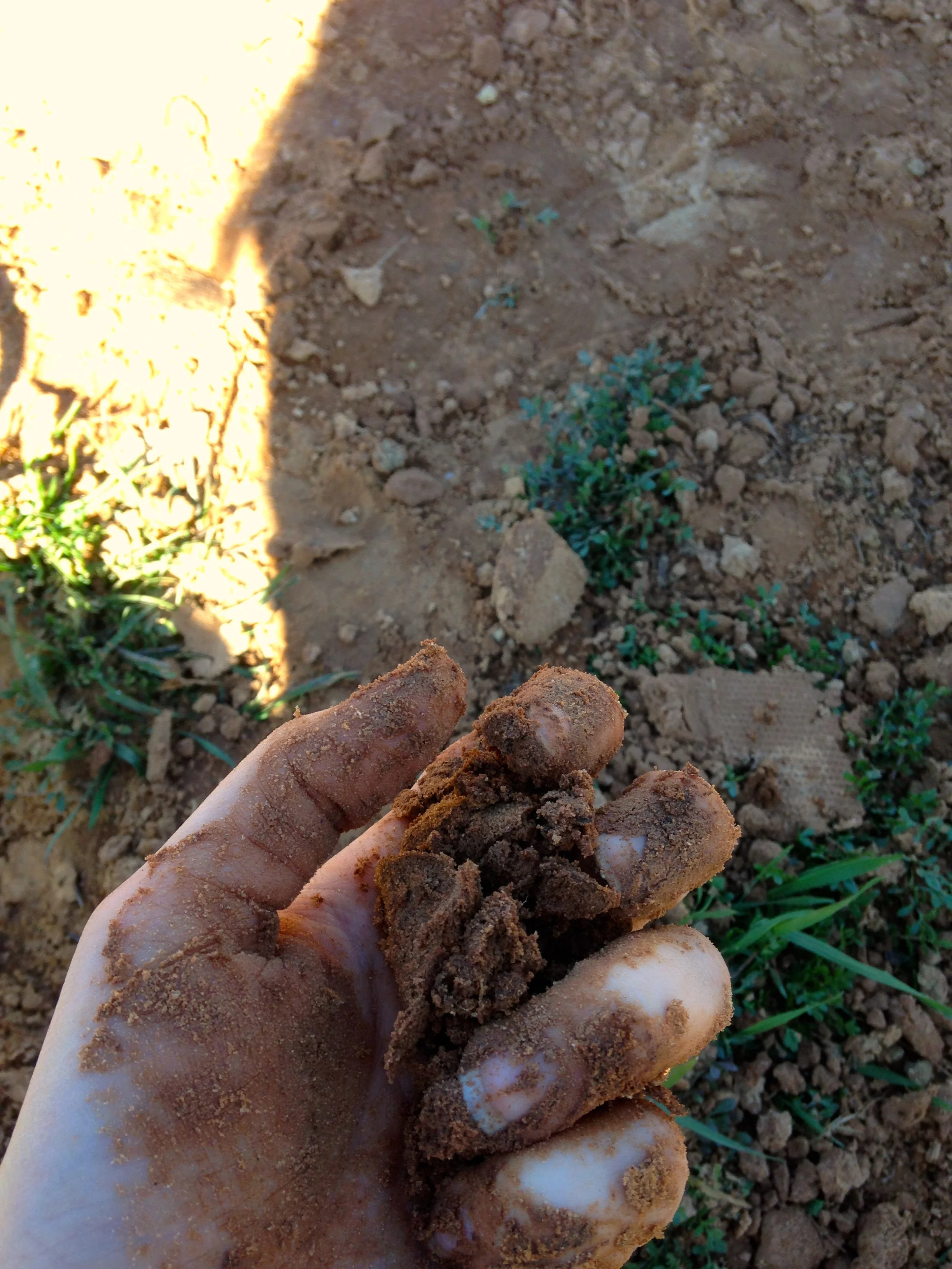 Moving Earth and Red Dirt