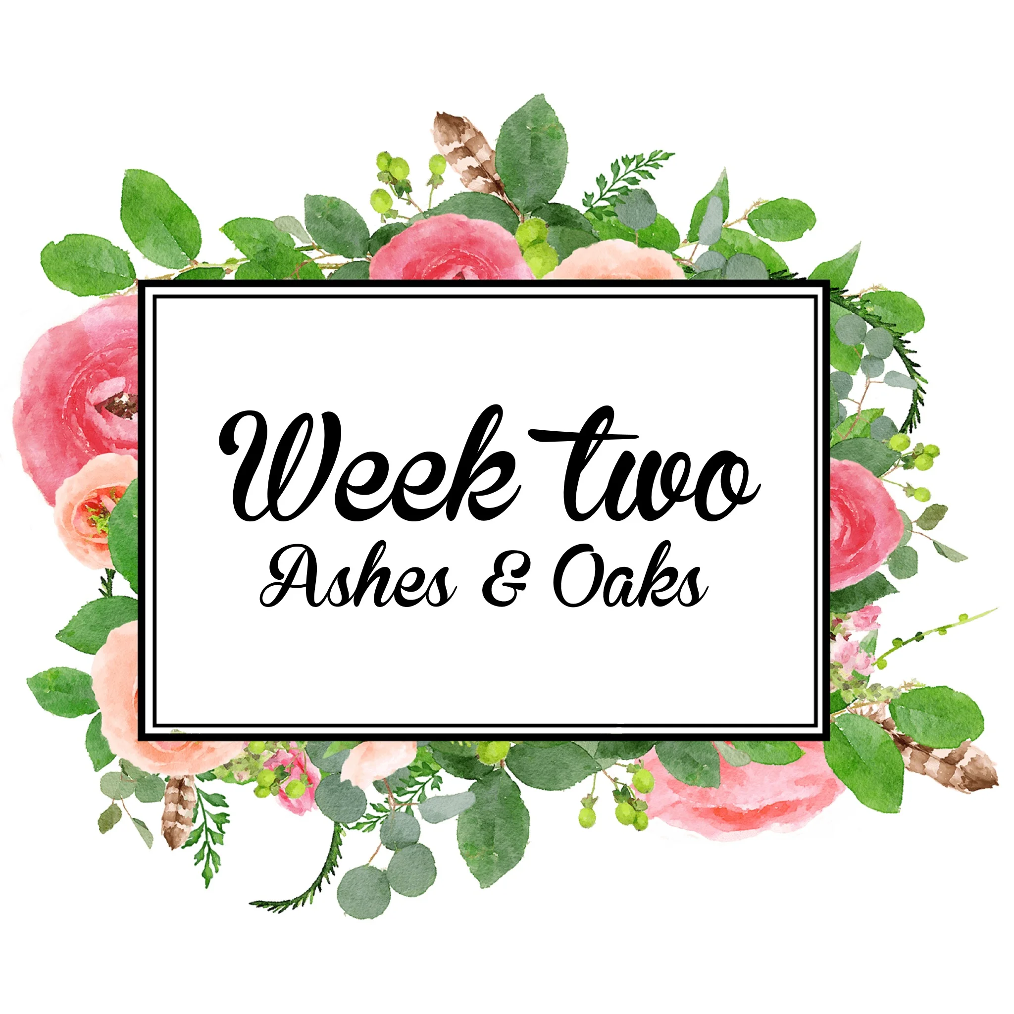 Study Guide Week 2: Big Story