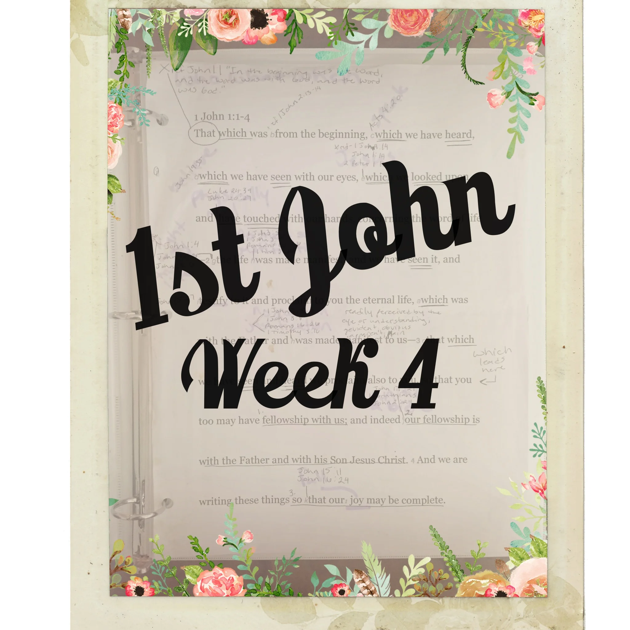 Study Guide Week 4