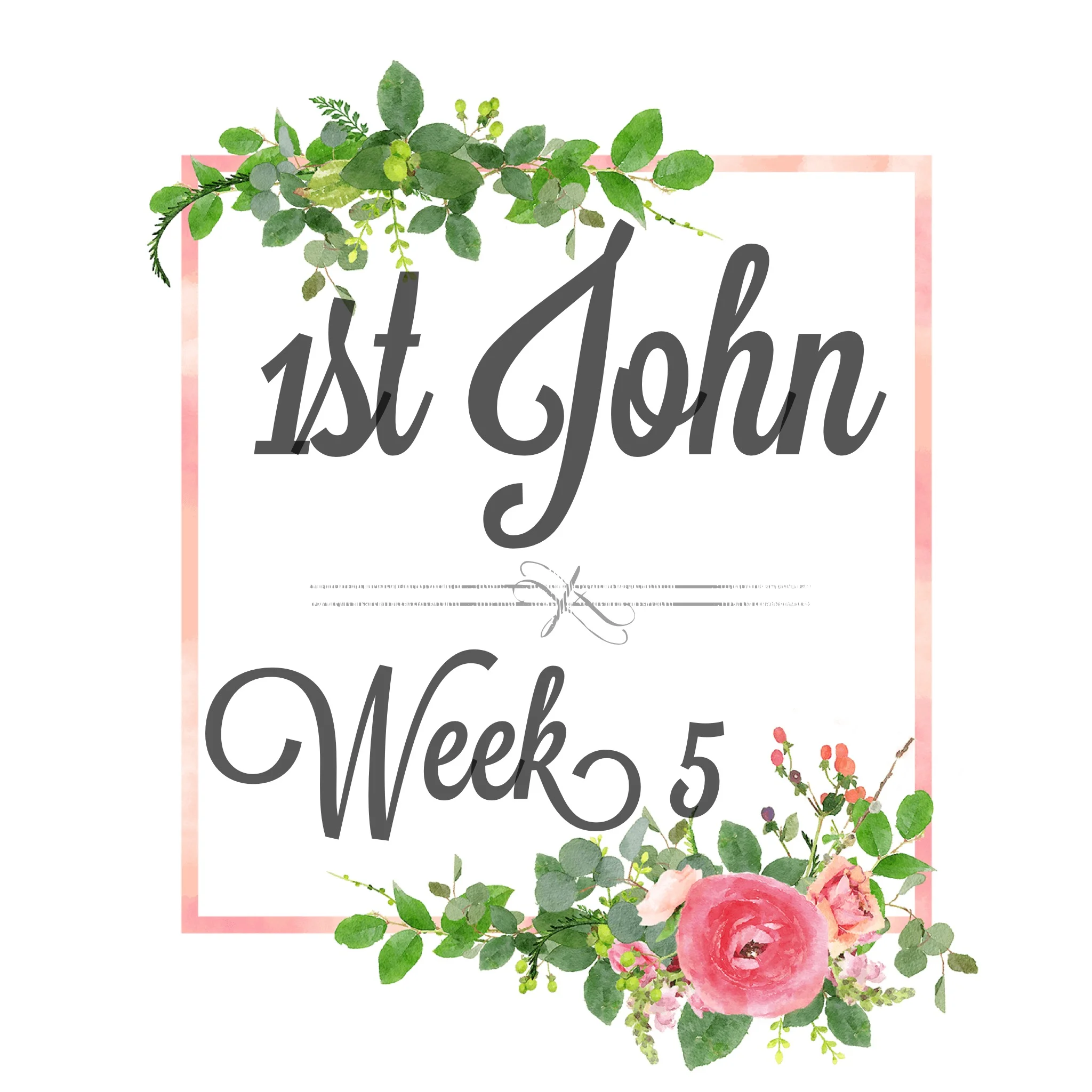 Study Guide Week 5