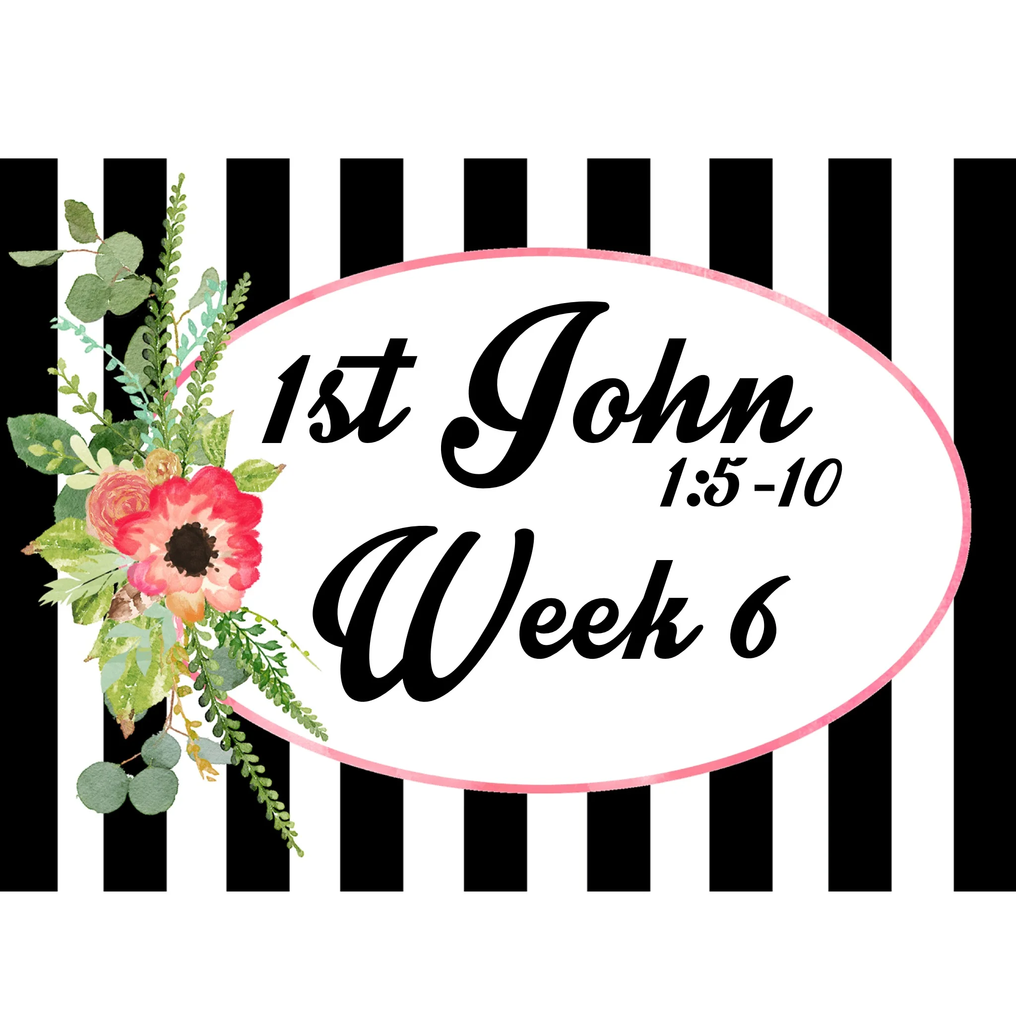 Study Guide Week 6