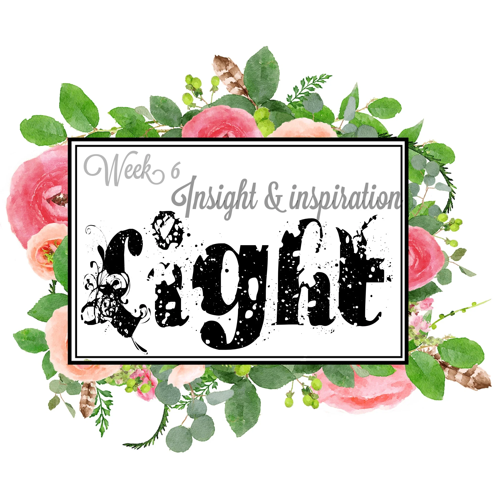 Week 6 Insight and Inspiration