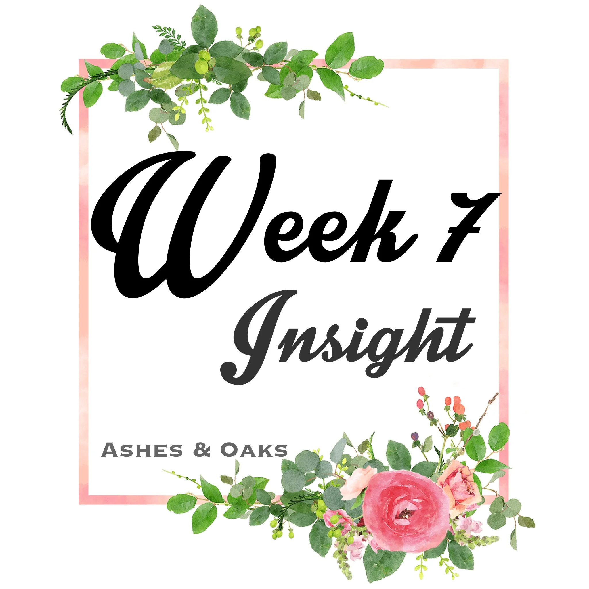 Week 7 Insight