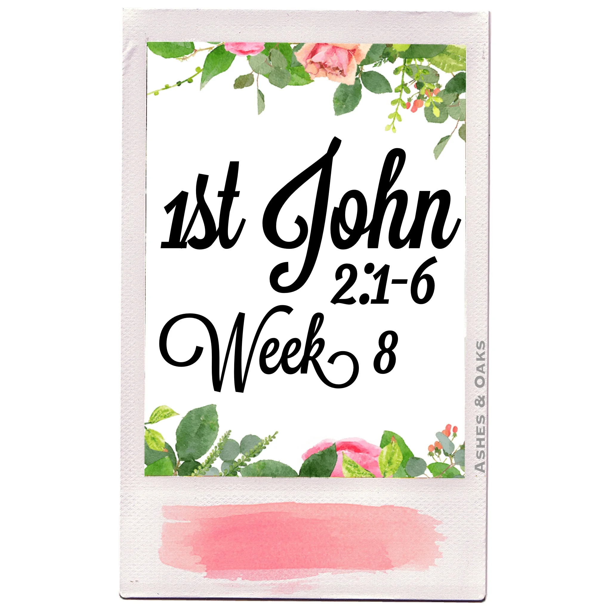 Study Guide Week 8