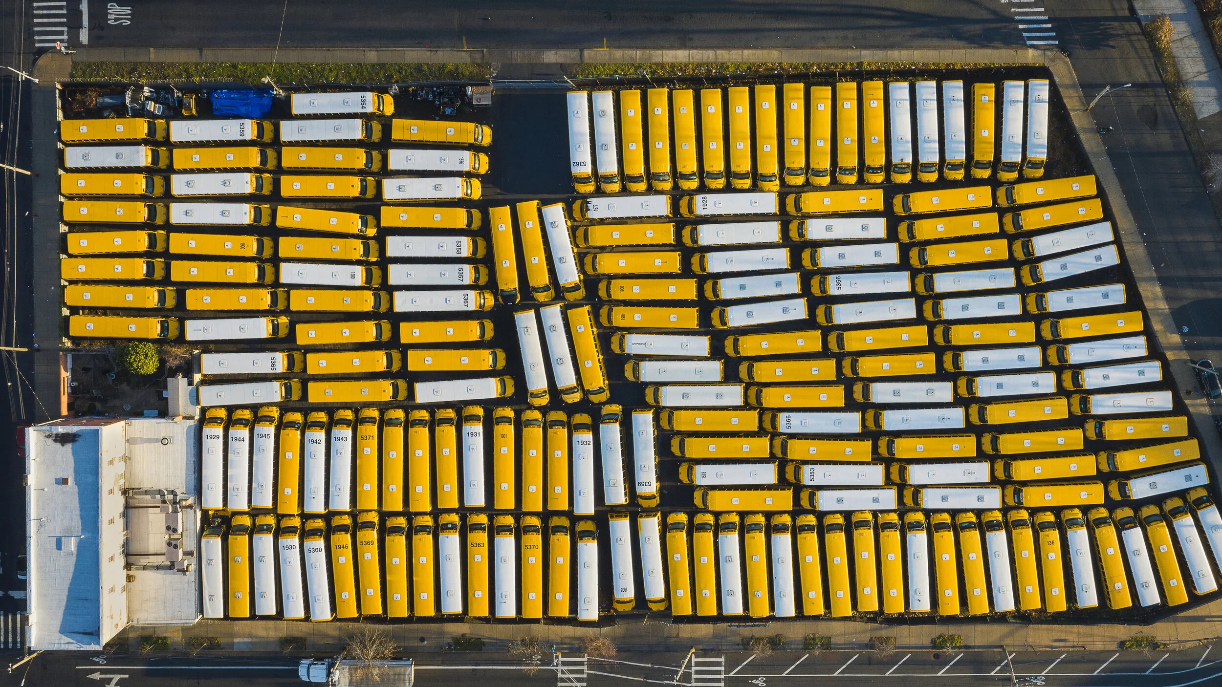 RedHook_school bus-S.jpg