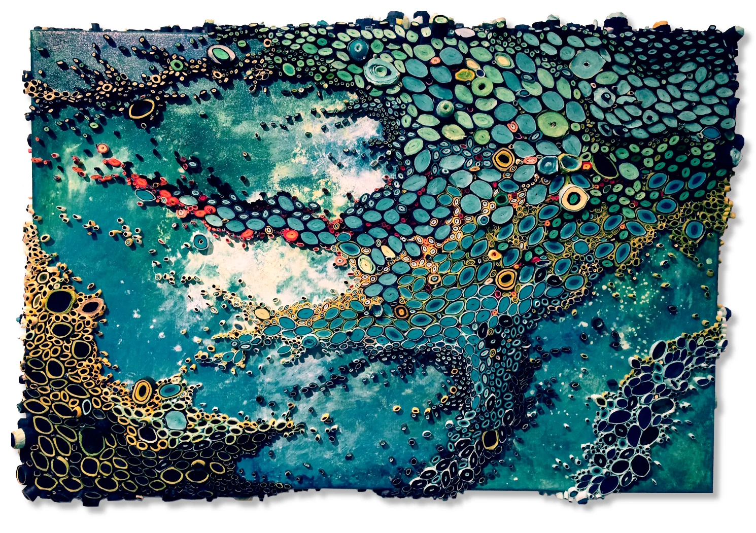 All the Fish in the Sea