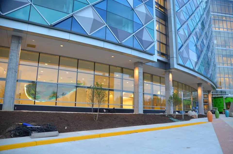 Nemours Alfred I.DuPont Hospital for Children