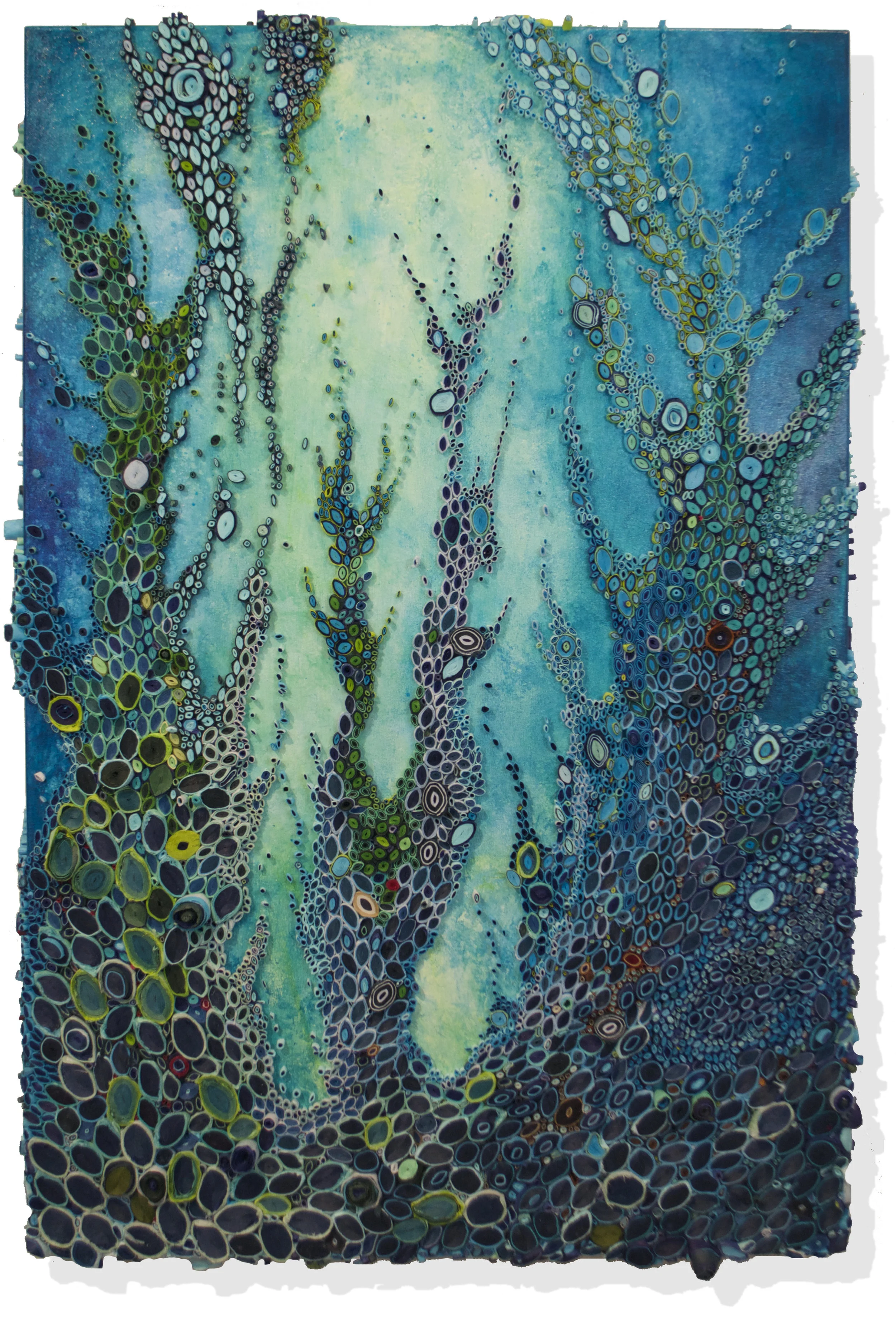 Kelp Rising
