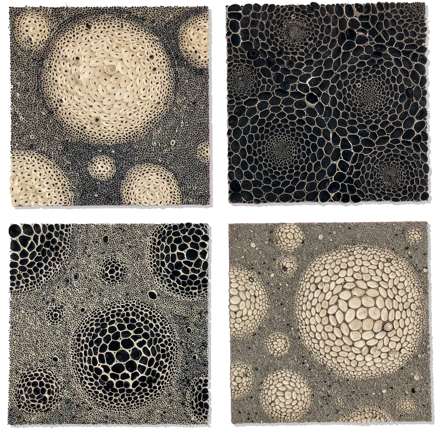 Black and White Squares 1-4