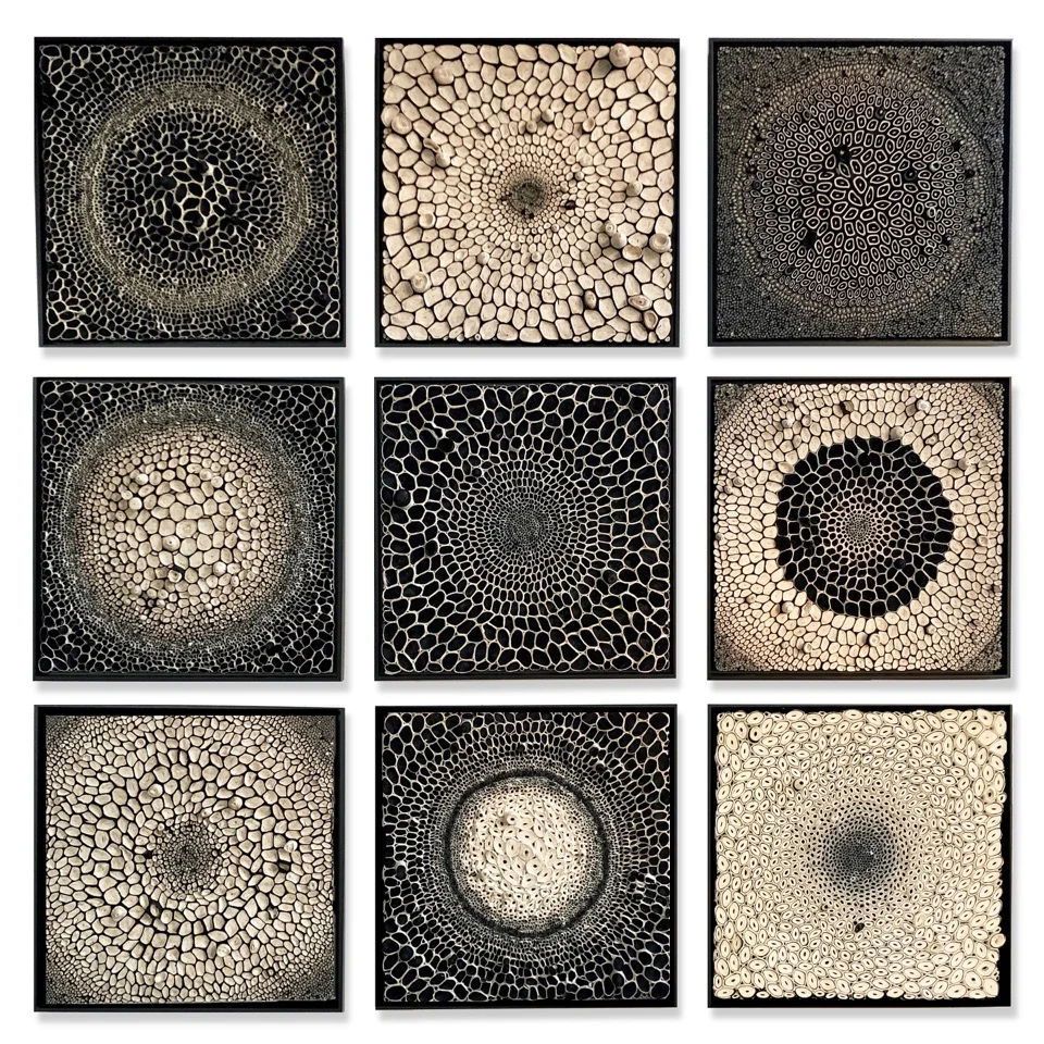 Black &amp; White Squares