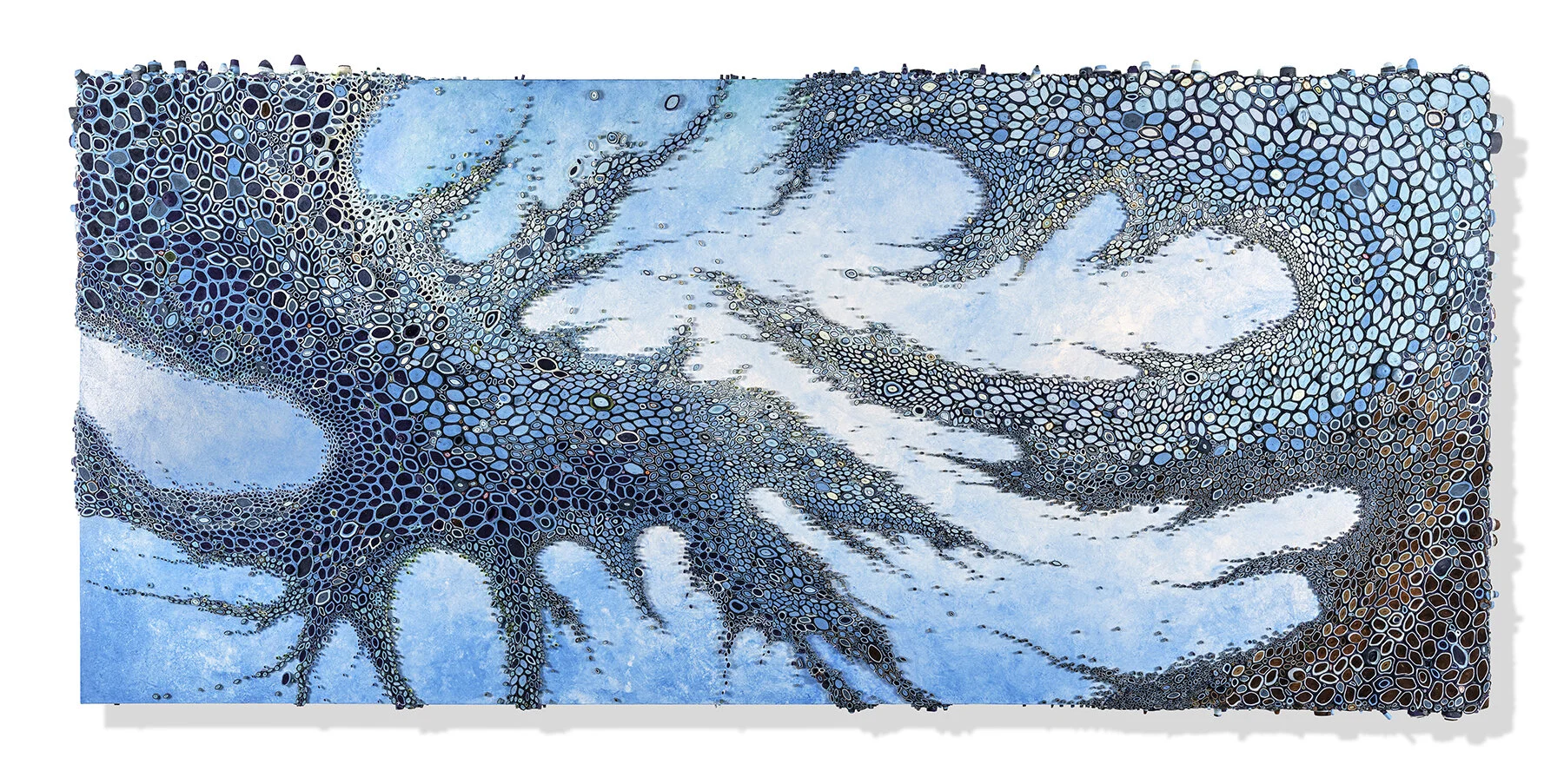 Don't Hate Me Cause I'm Beautiful