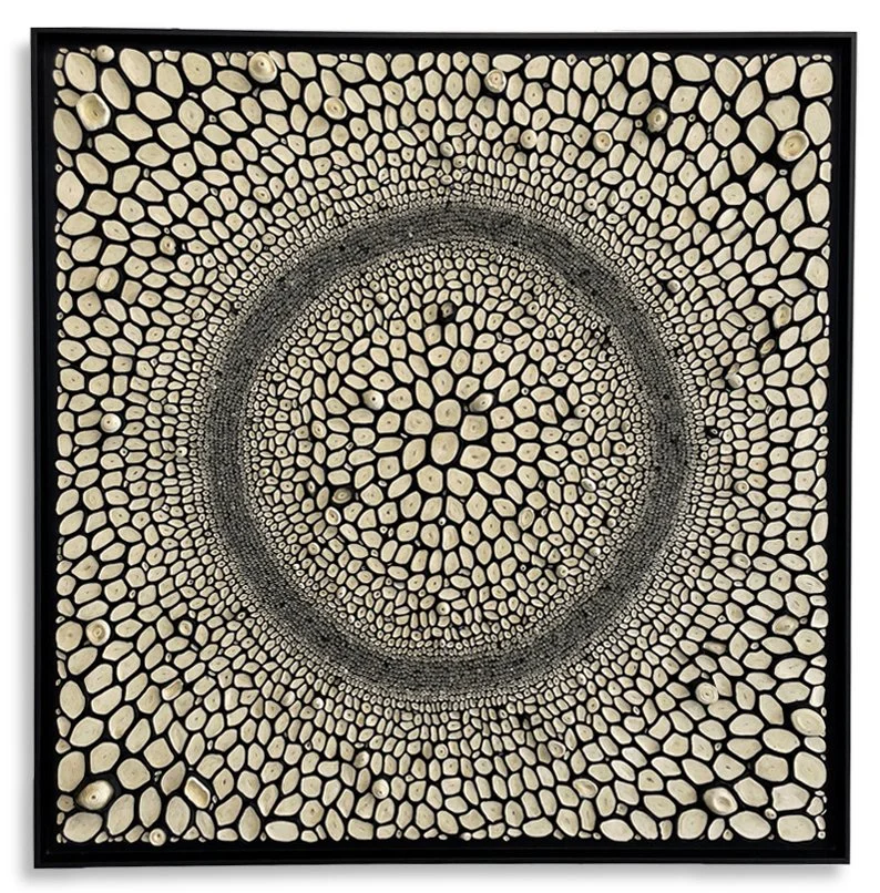 Big Daddy Black & White