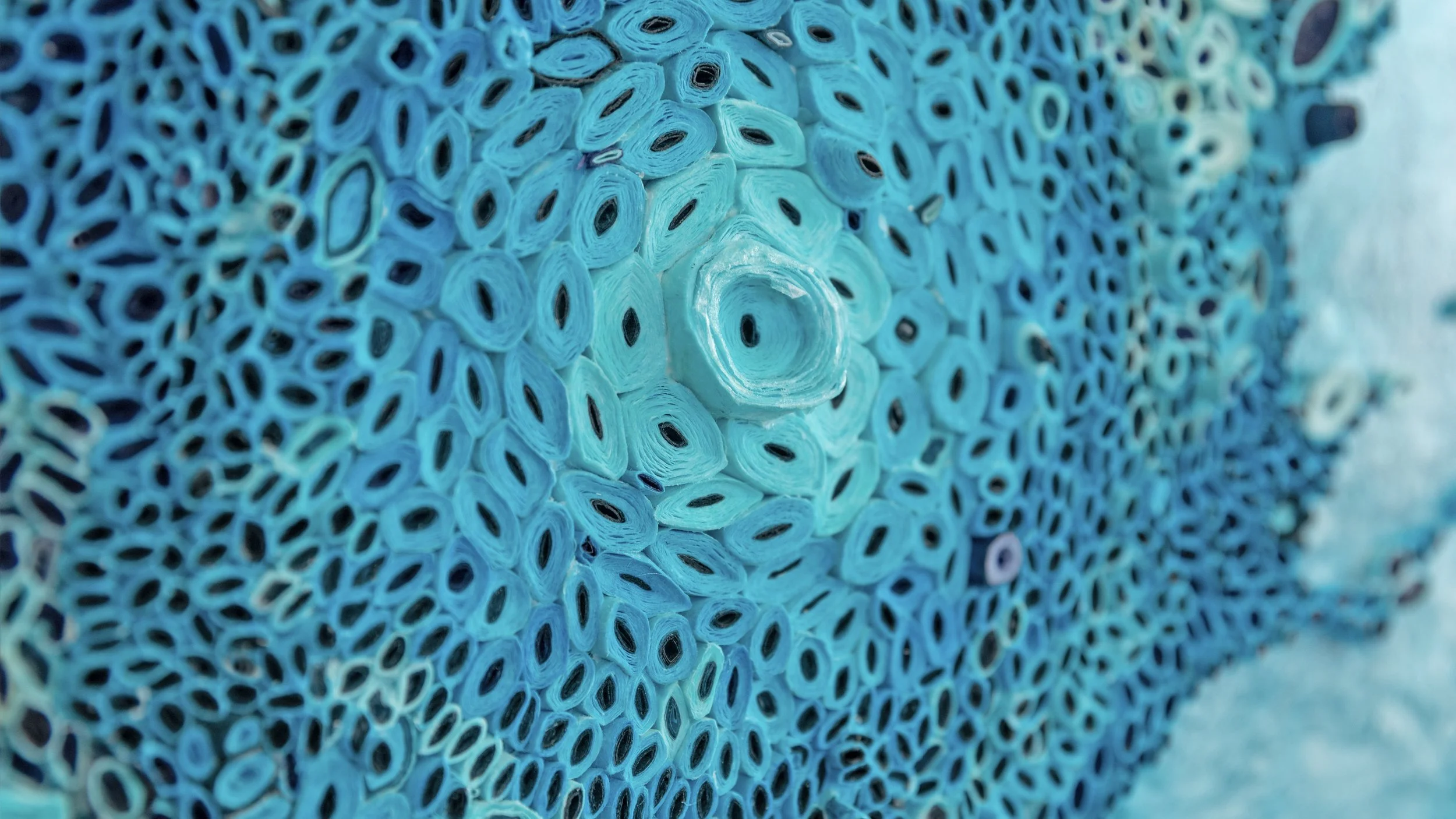 CODAWORX_SYNAPSE_4.jpg