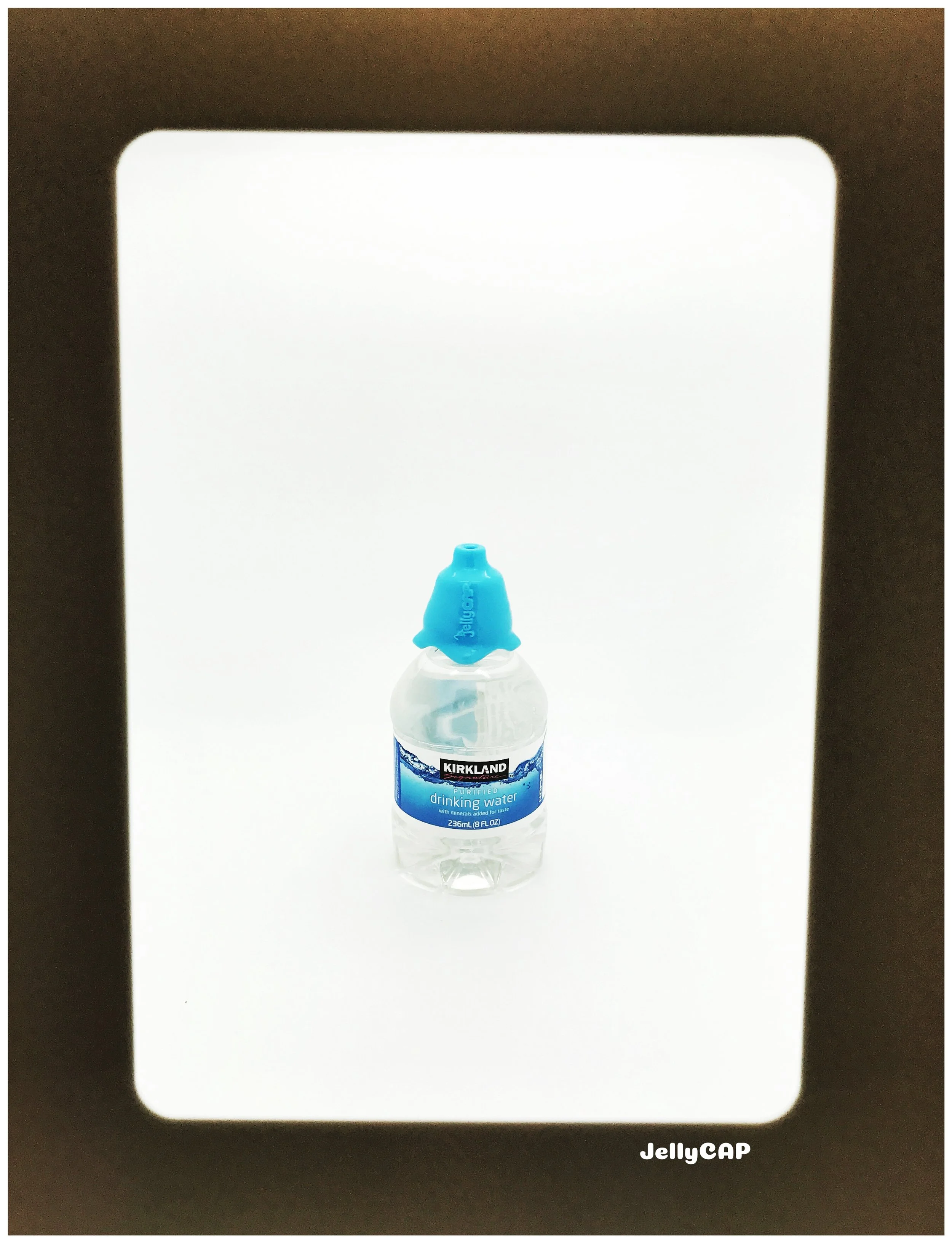 Kirkland Water Bottle