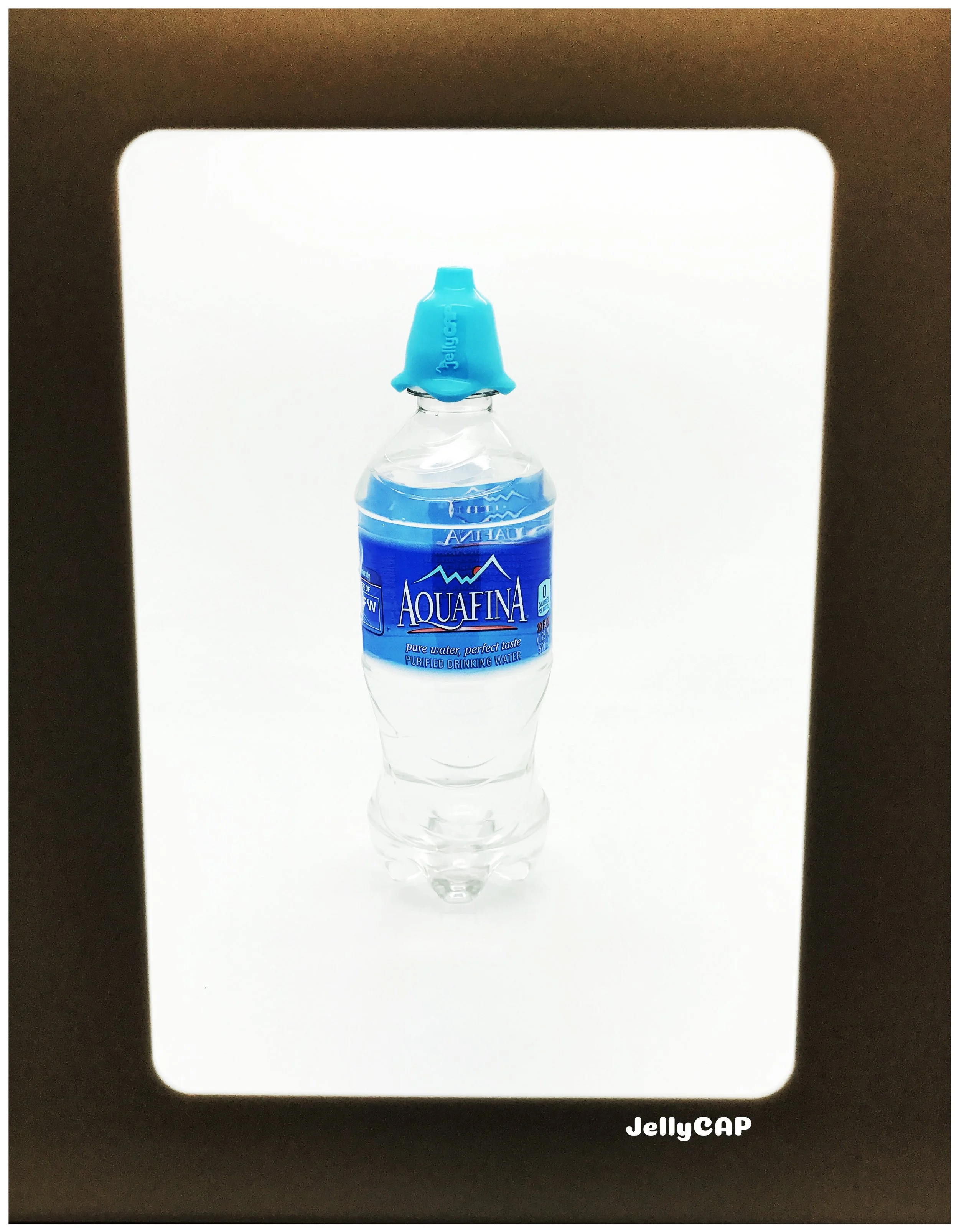 Aquafina Water Bottle
