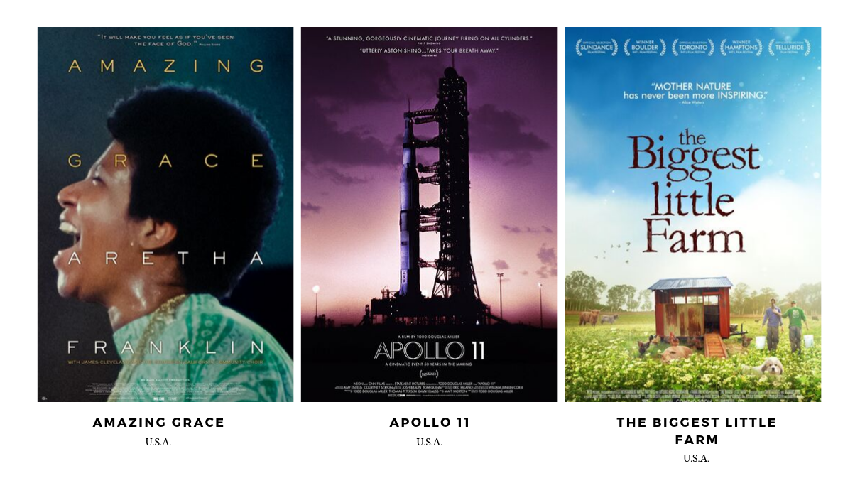 FILM GRIDS 2019 Summer Transparent.png