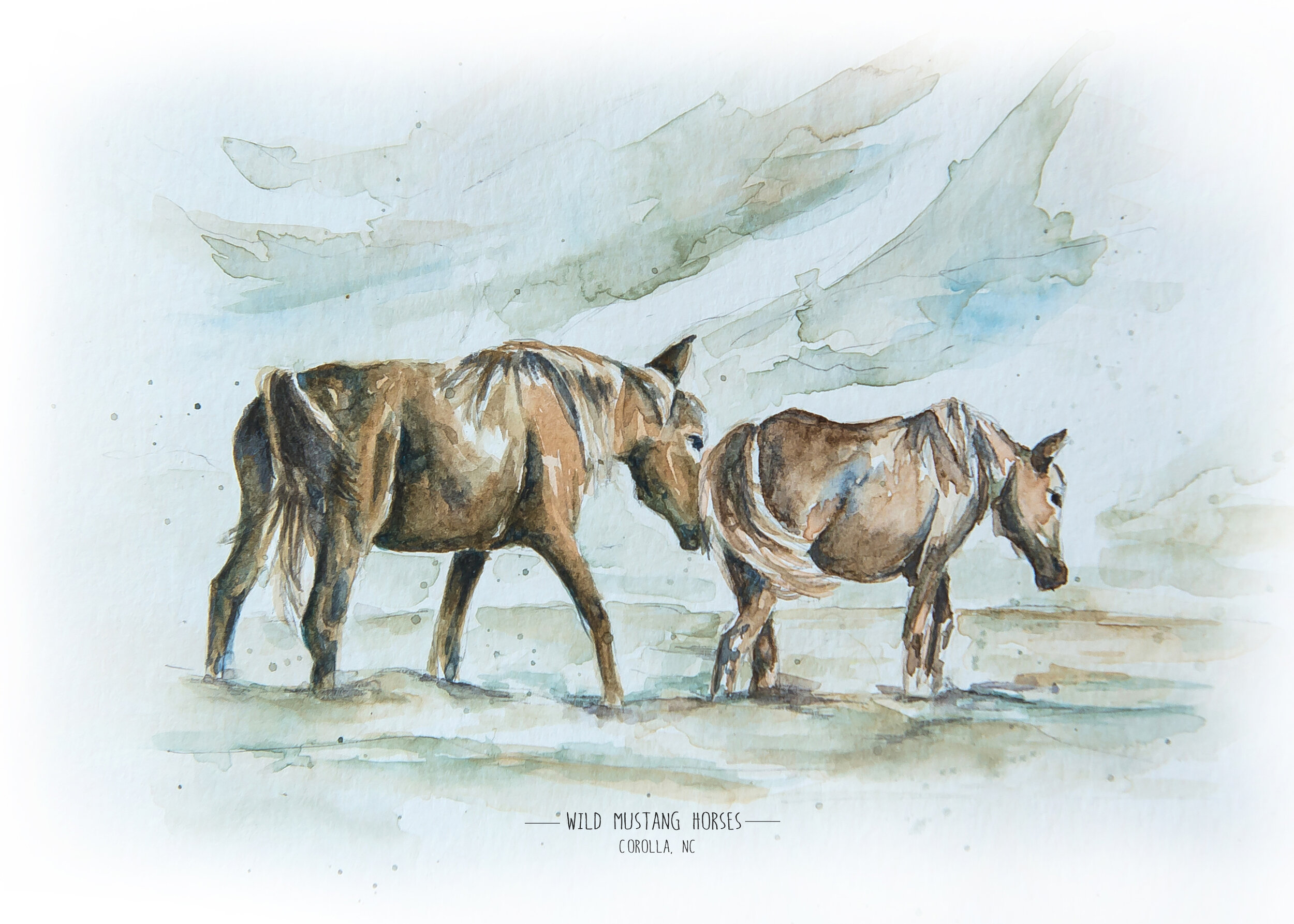 horses5x7.jpg