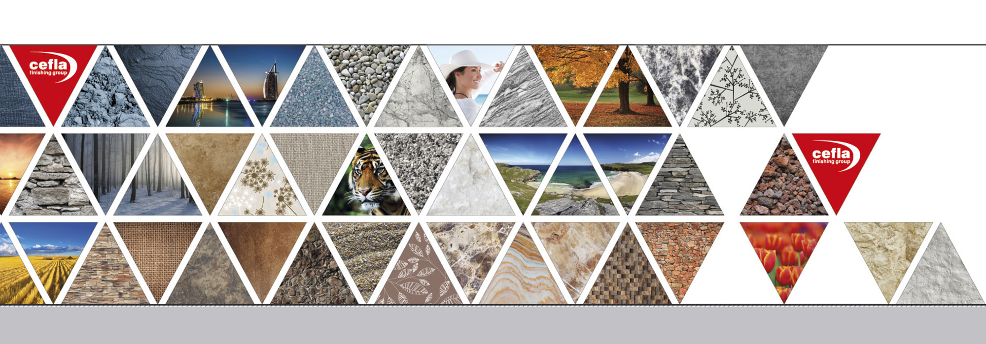 Cefla Finishing  Ligna - Hannover