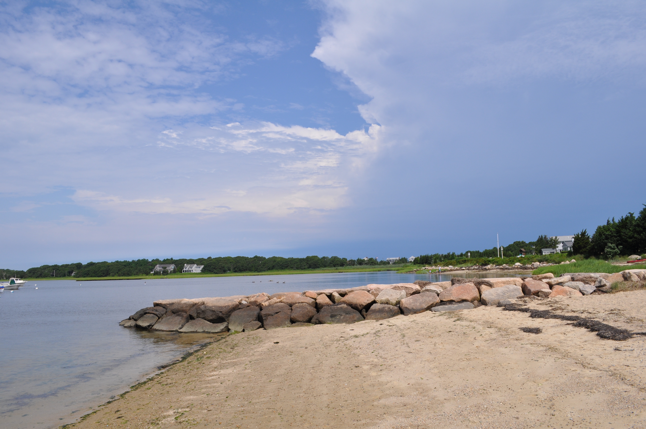 DSC_1223.JPG
