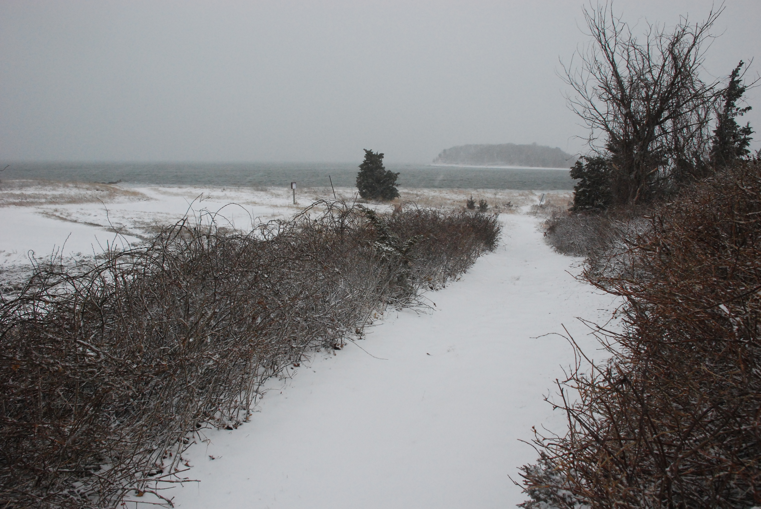 DSC_3723.JPG