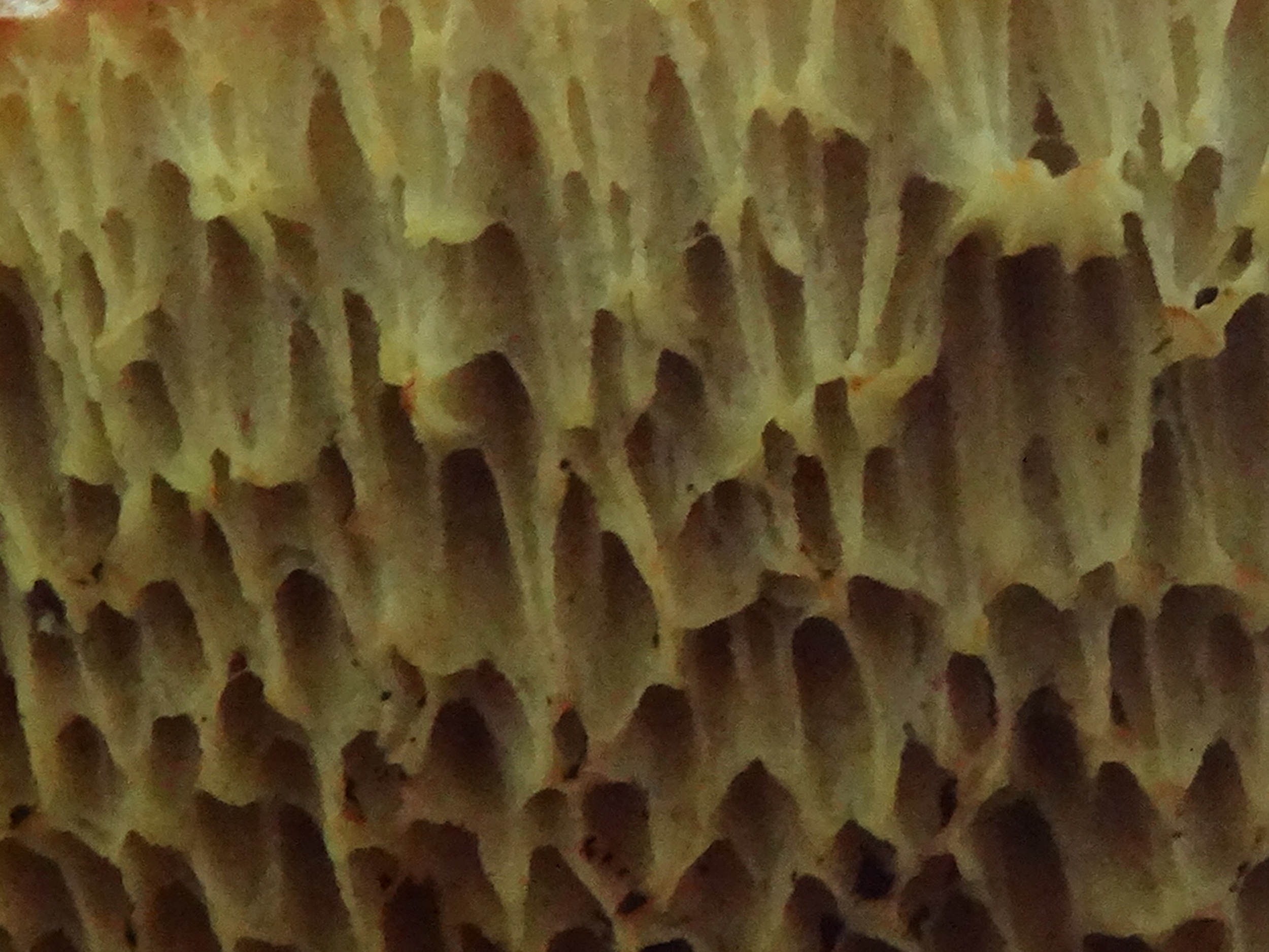 DSC01872.JPG