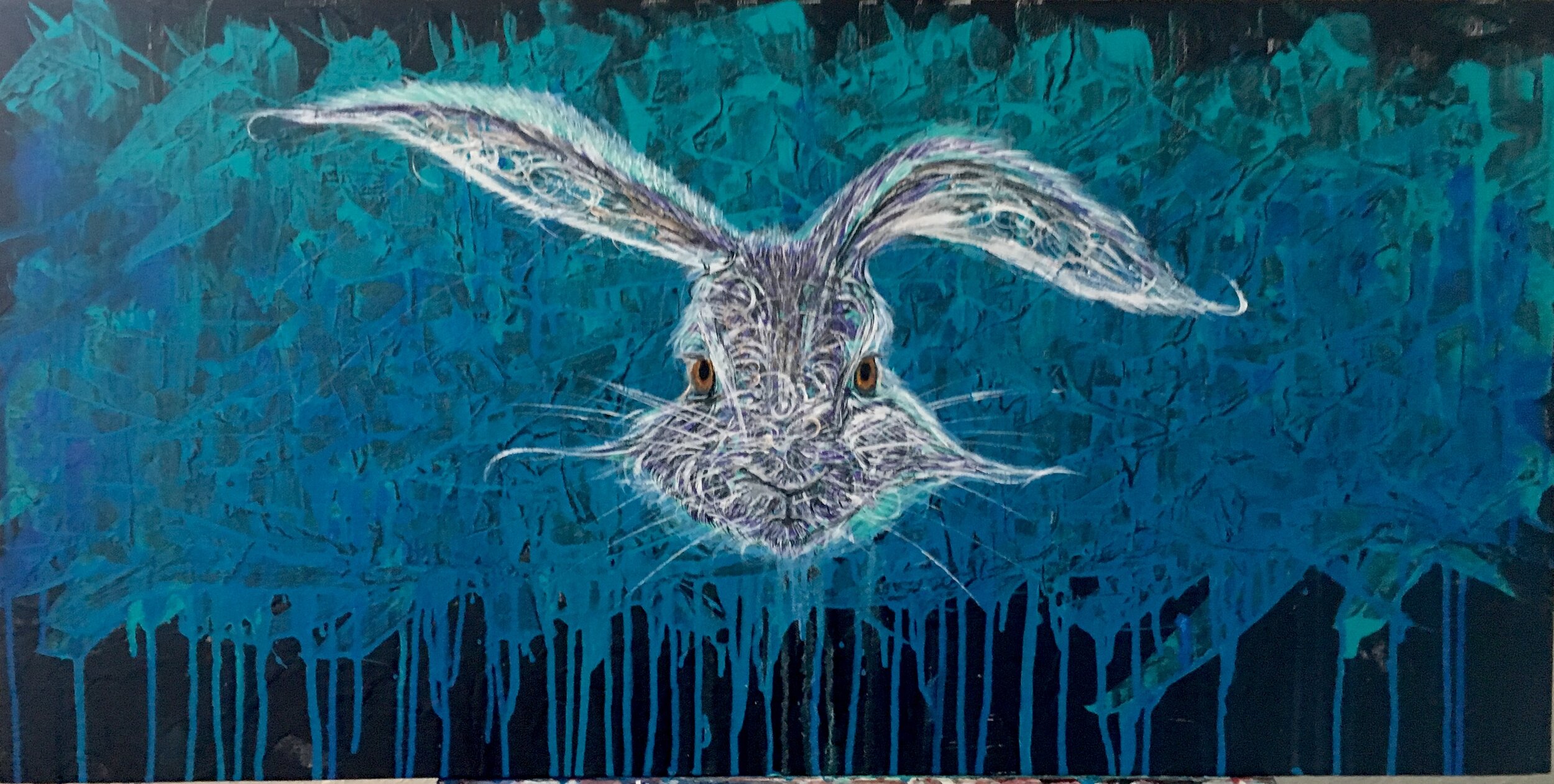 Wabbit season 2017