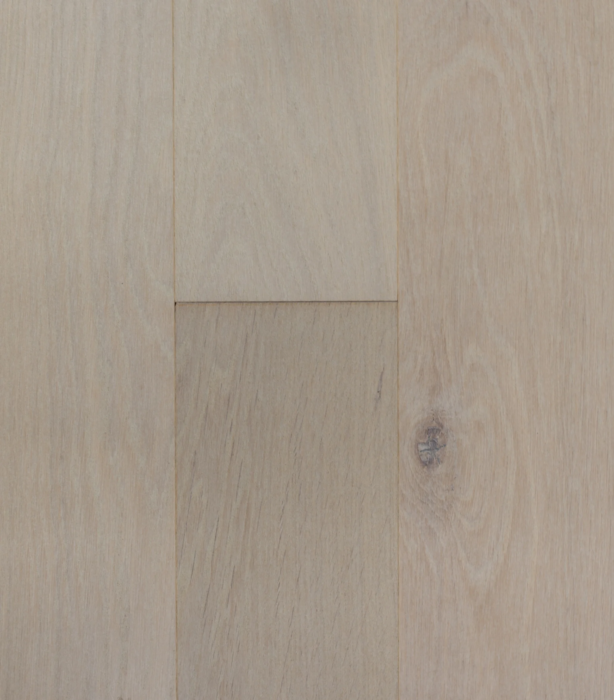 White Oak Athena_HR.jpg
