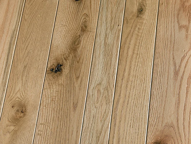 Gold Rush Plank.jpg
