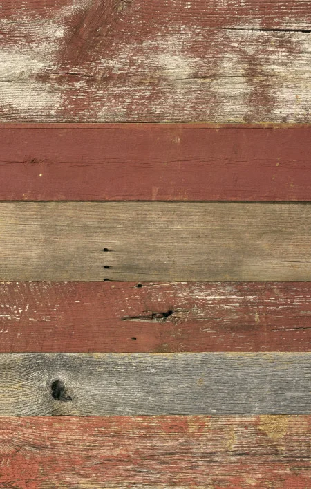 ant-BARN-SIDING-RED-org2-sm.JPG
